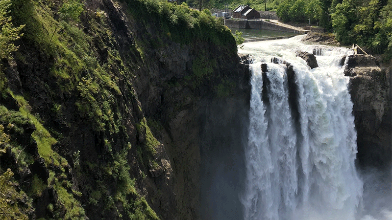 Gif: University of Washington