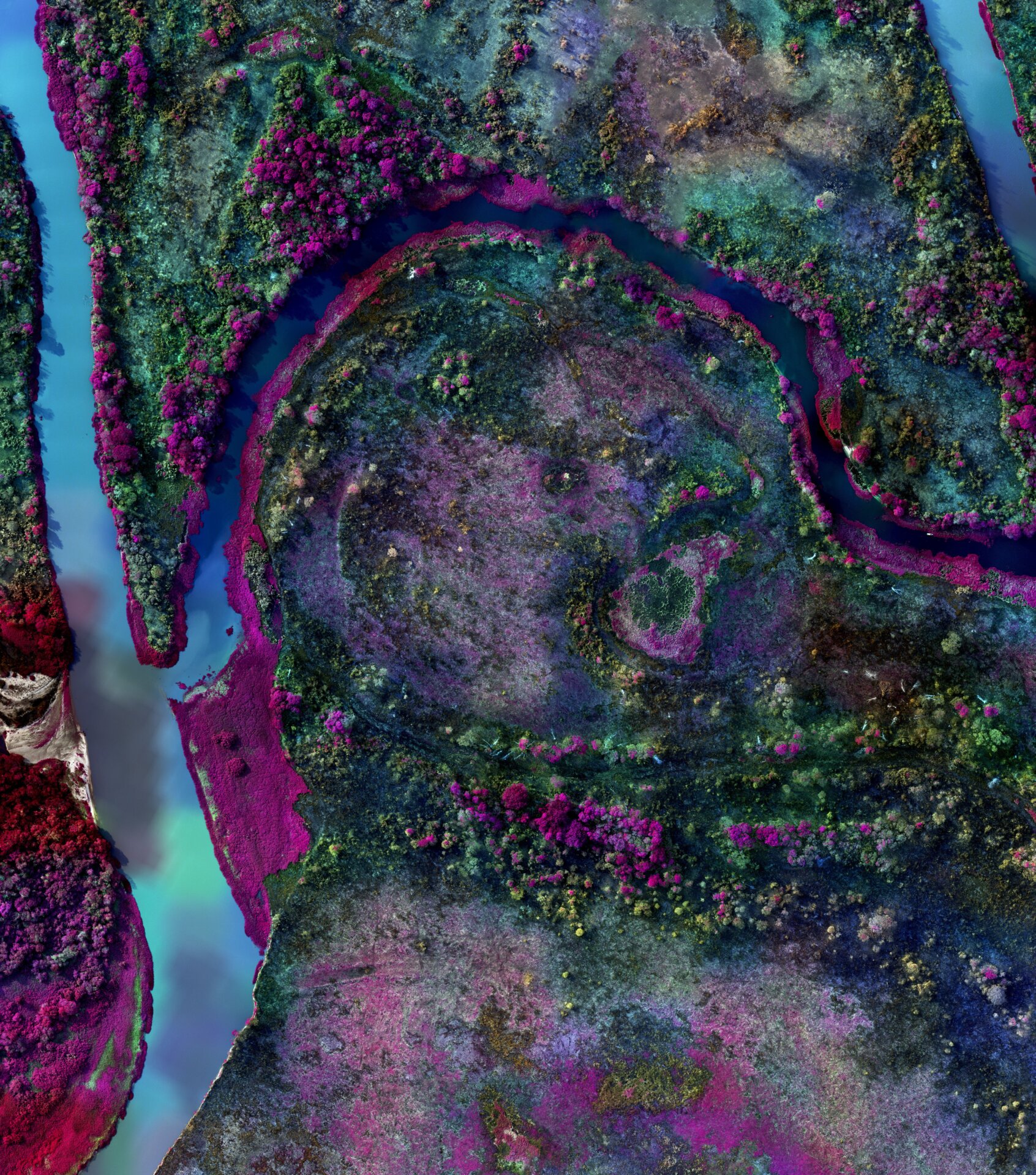 Burnt Pantanal I by Richard Mosse. 2020.