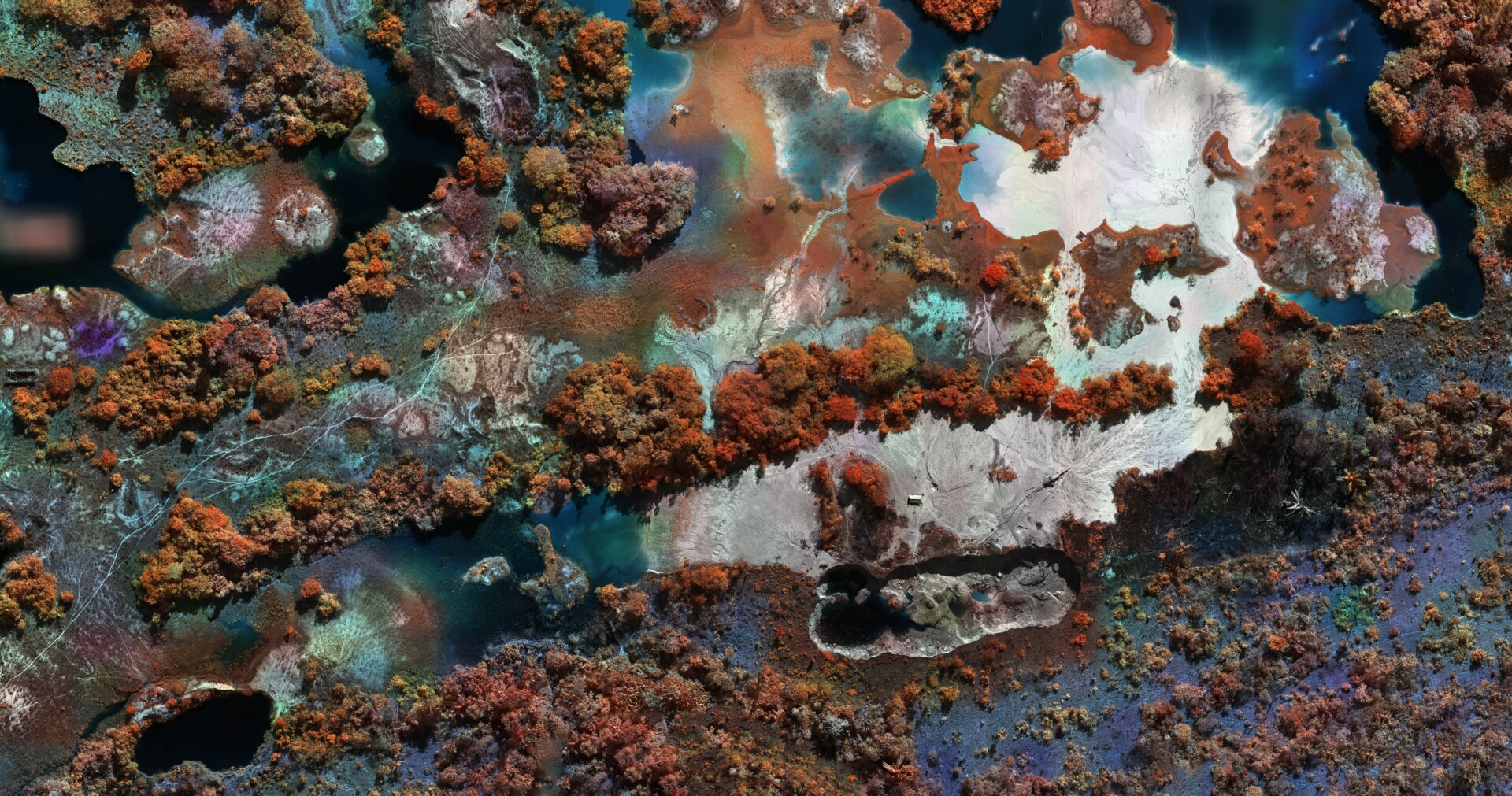 Gold Pit, Pará by Richard Mosse. 2020.