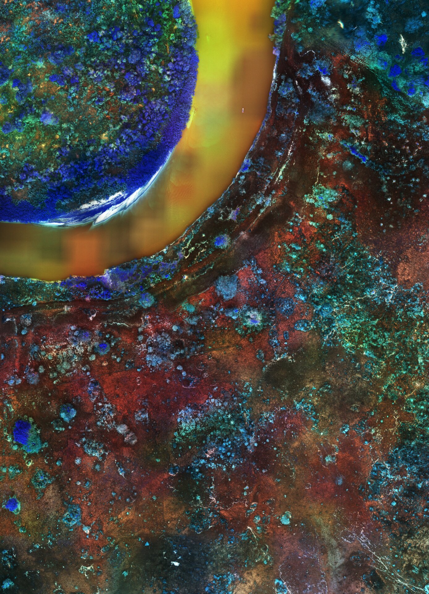 Burnt Pantanal III by Richard Mosse. 2020.