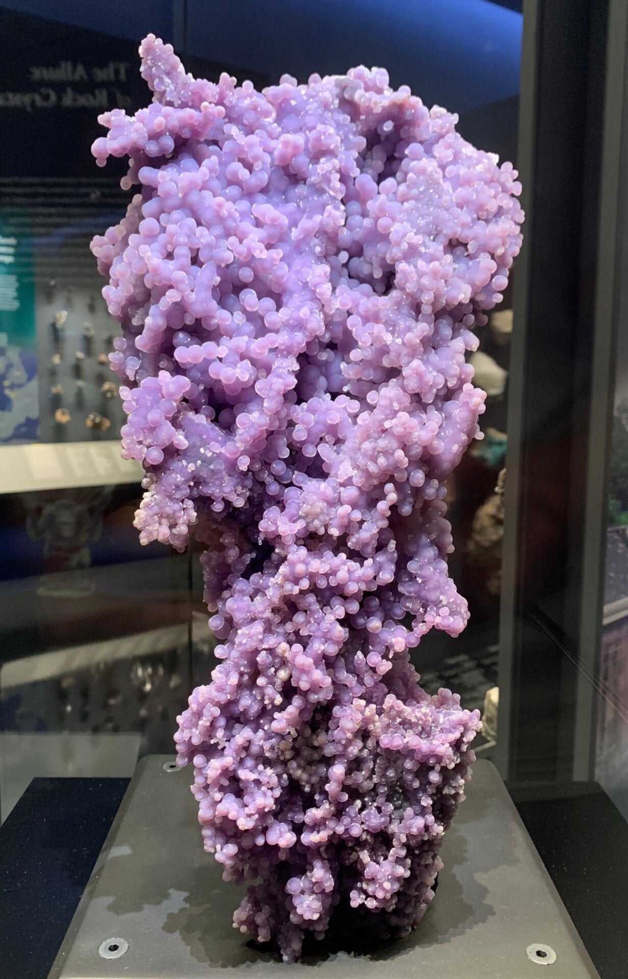 The extraordinary grape agate.