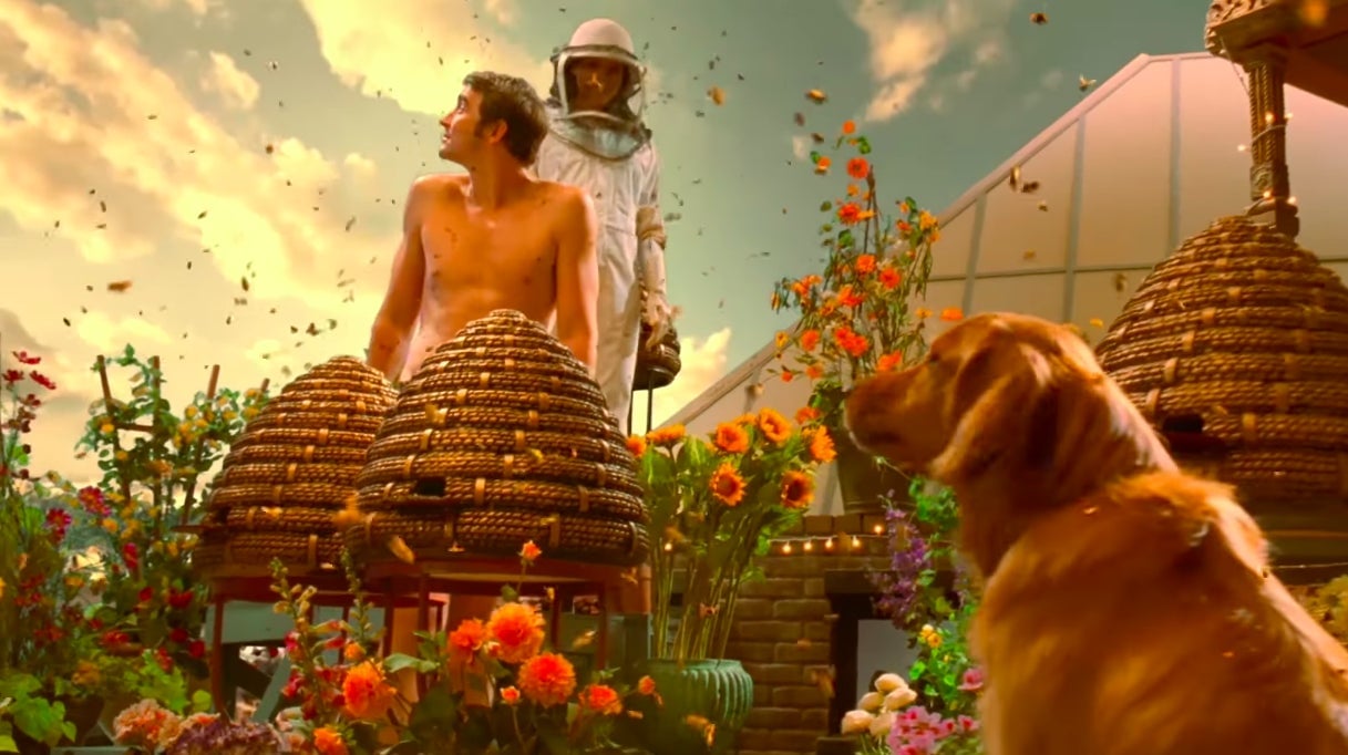 Chuck using Ned’s gift to bring dead bees back to life.