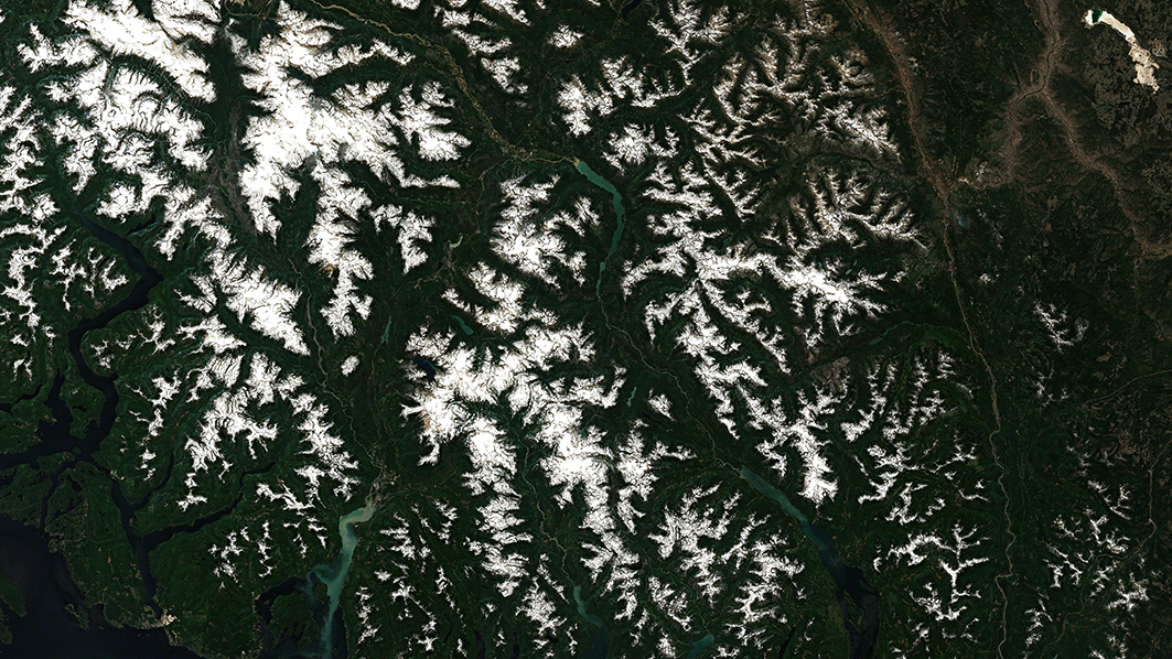 A satellite composite showing the Garibaldi Provincial Park on June 29, 2021 and July 14, 2021. A wildfire is visible in the far right of the July 14 image.