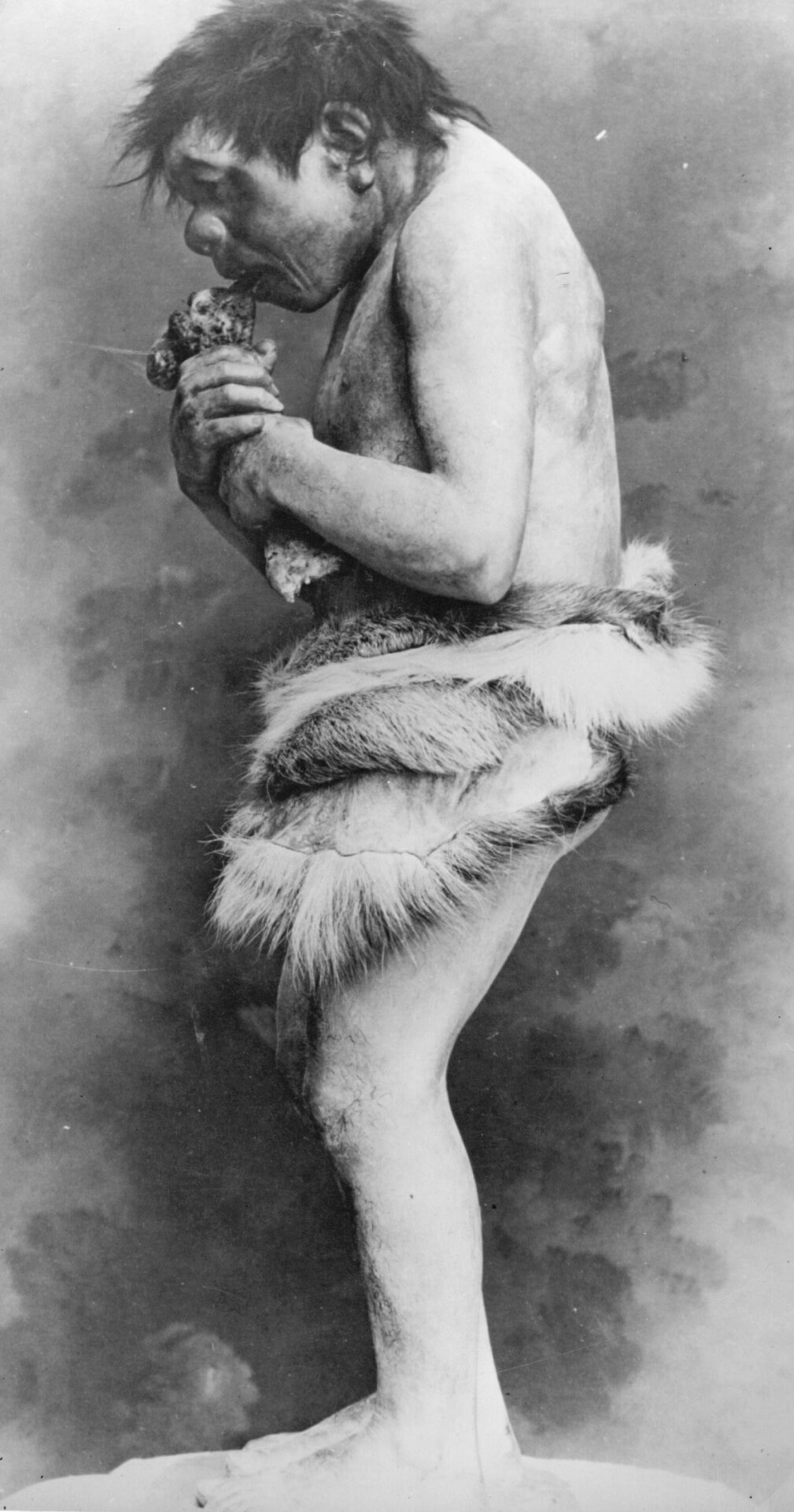 An outdated Neanderthal model from the 1950s in Chicago’s Field Museum.