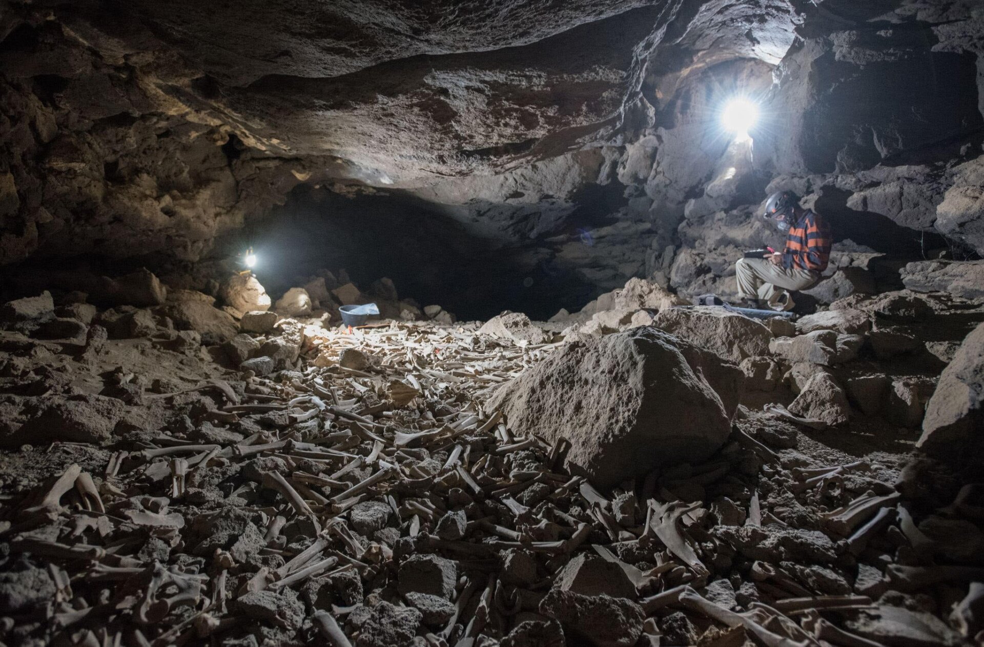 One of the bone accumulations in the Umm Jirsan lava tube in Saudi Arabia.