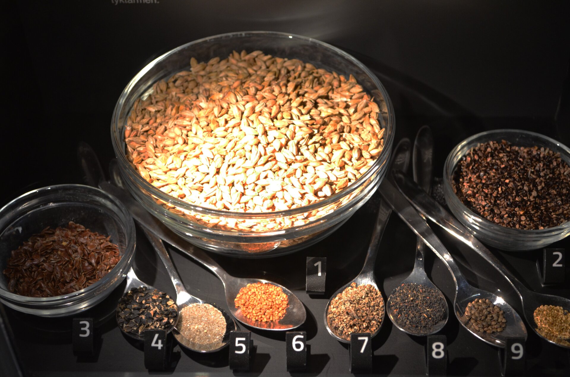 The main ingredients—not including the fish—in Tollund Man’s last meal (shown in their relative quantities: 1) Barley, 2) pale persicaria, 3) flax, 4) black-bindweed, 5) sand, 6) gold-of-pleasure, 7) fat hen, 8) corn spurrey, 9) hemp-nettles and 10) field pansy.