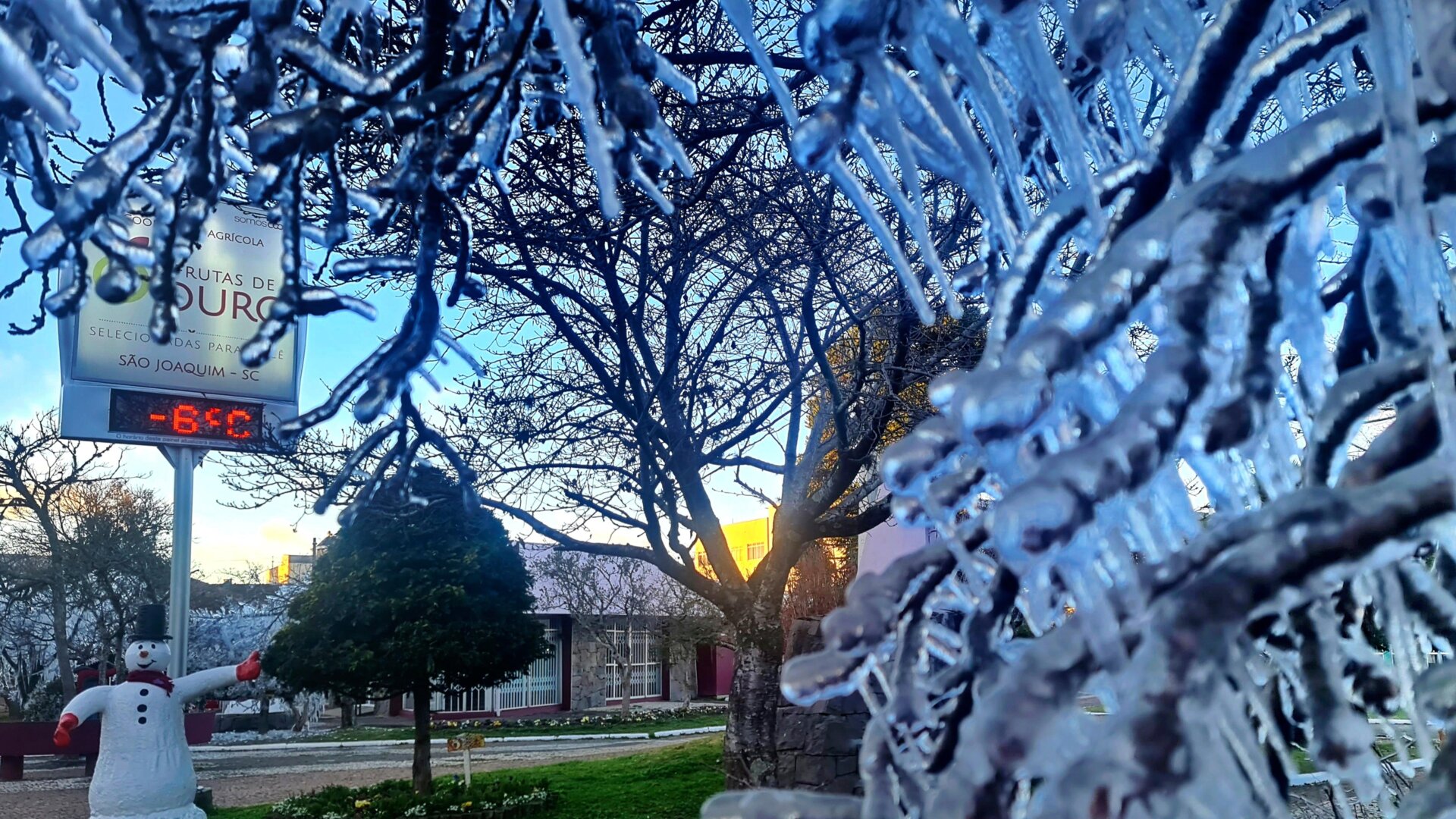 Ice covers trees at dawn during a cold snap in Sao Joaquim, Brazil, Wednesday, July 28, 2021.