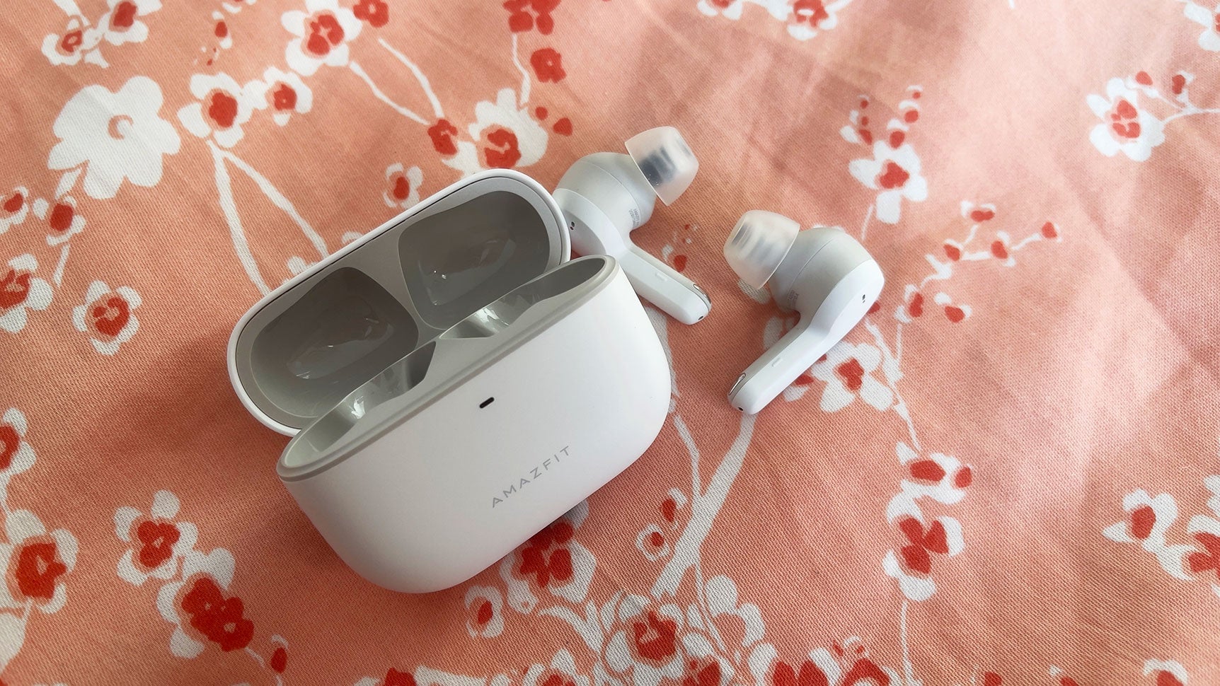 Photo: Victoria Song/Gizmodo