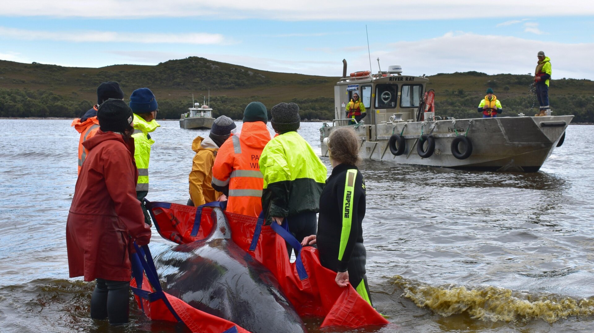Photo: MELL CHUN/AFP