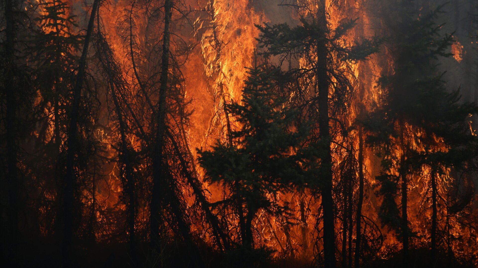 A photo taken of flames engulfing the trees along a highway near Fort McMurray, Alberta, on May 6, 2016.