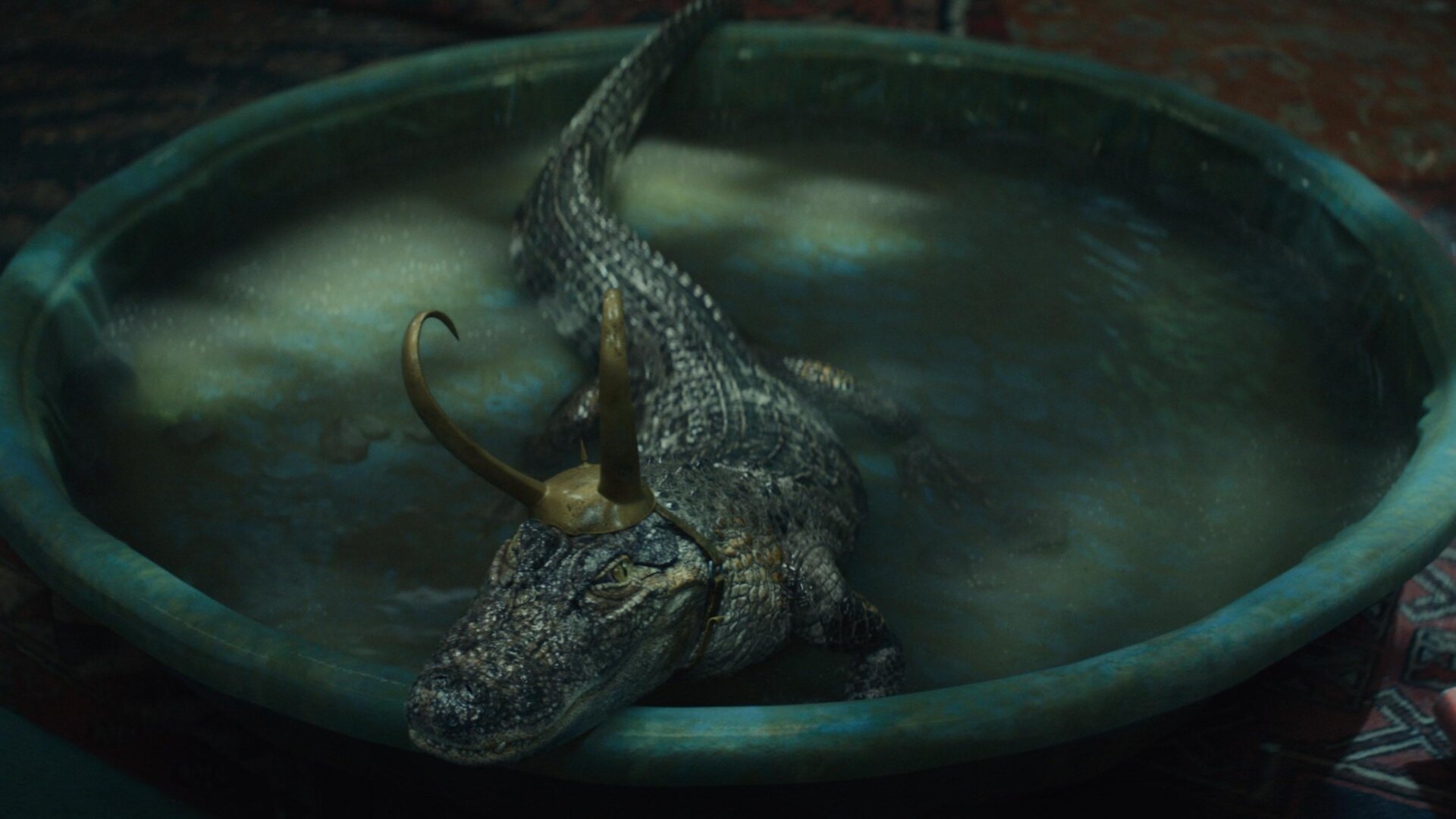 The real star of the show. 