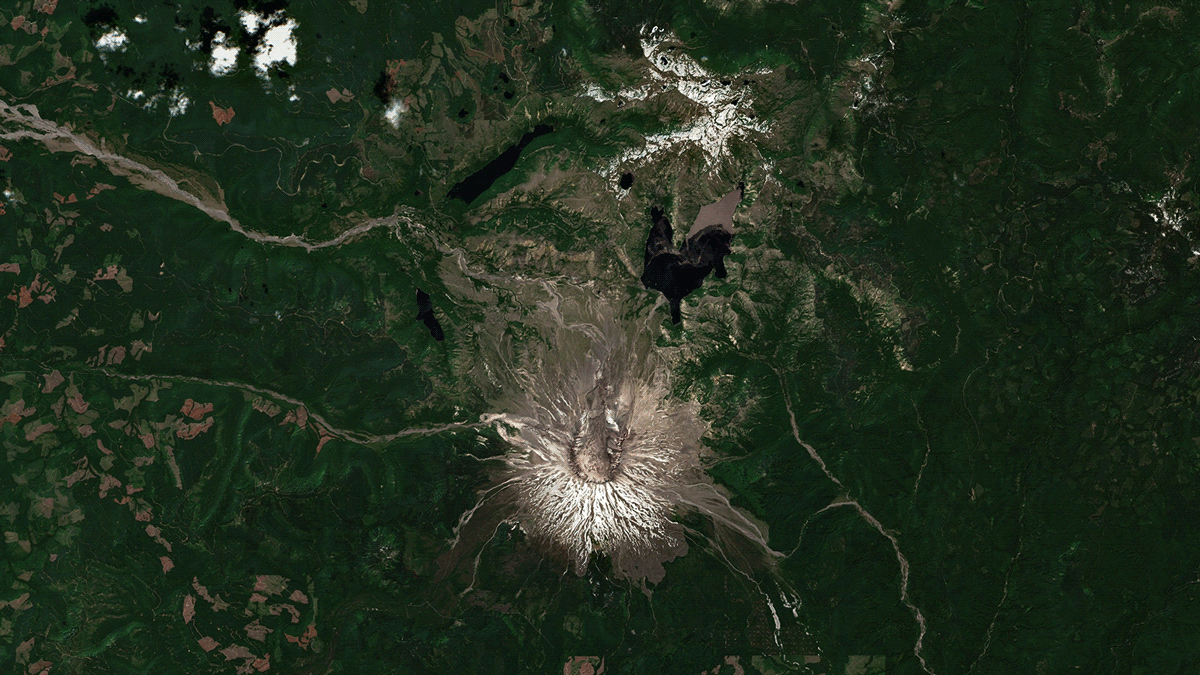 A satellite composite showing Mount Saint Helens on June 26, 2021 and July 11, 2021. 