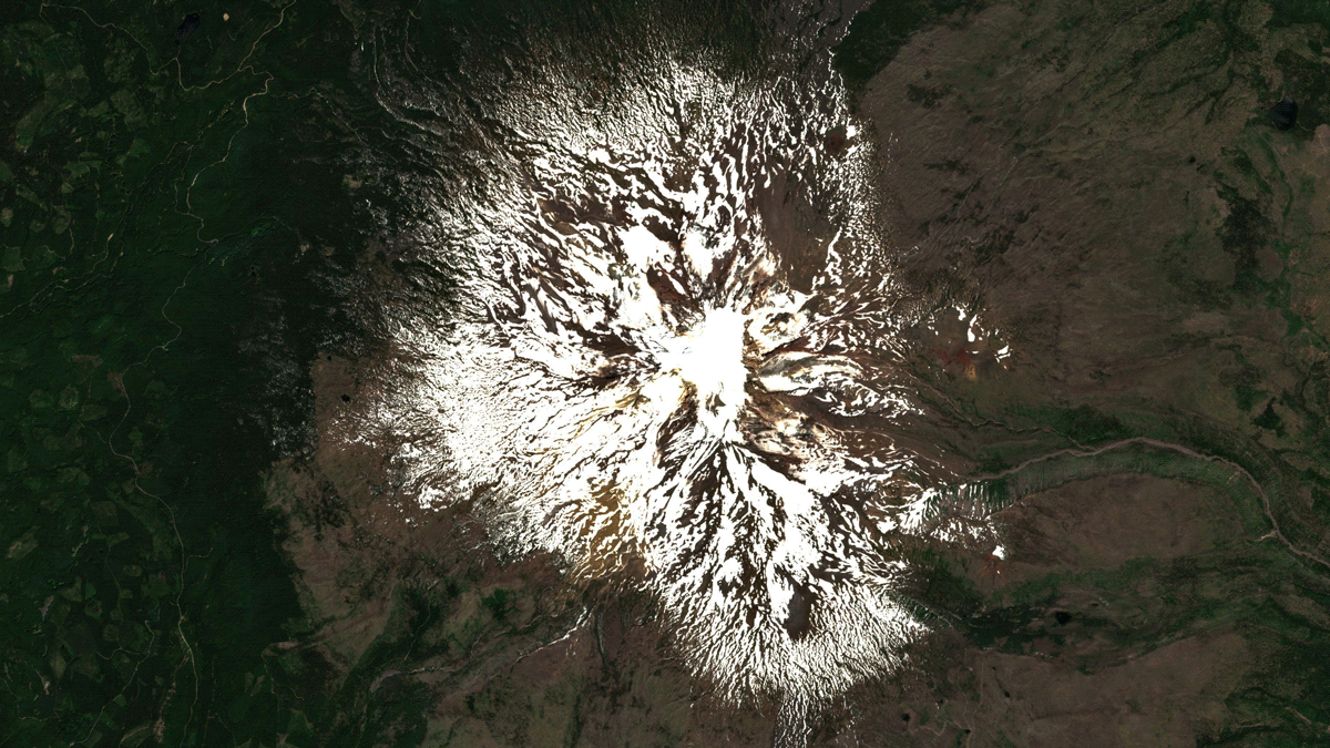A satellite composite showing Mount Adams on June 26, 2021 and July 11, 2021. 