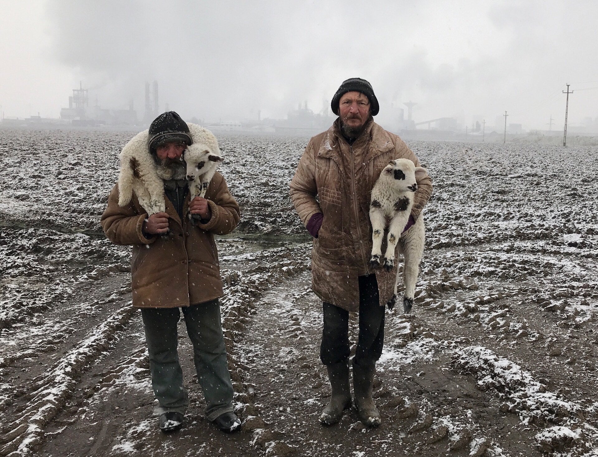 Transylvanian Shepherds by Istvan Kerekes won the grand prize and was shot on an iPhone 7.