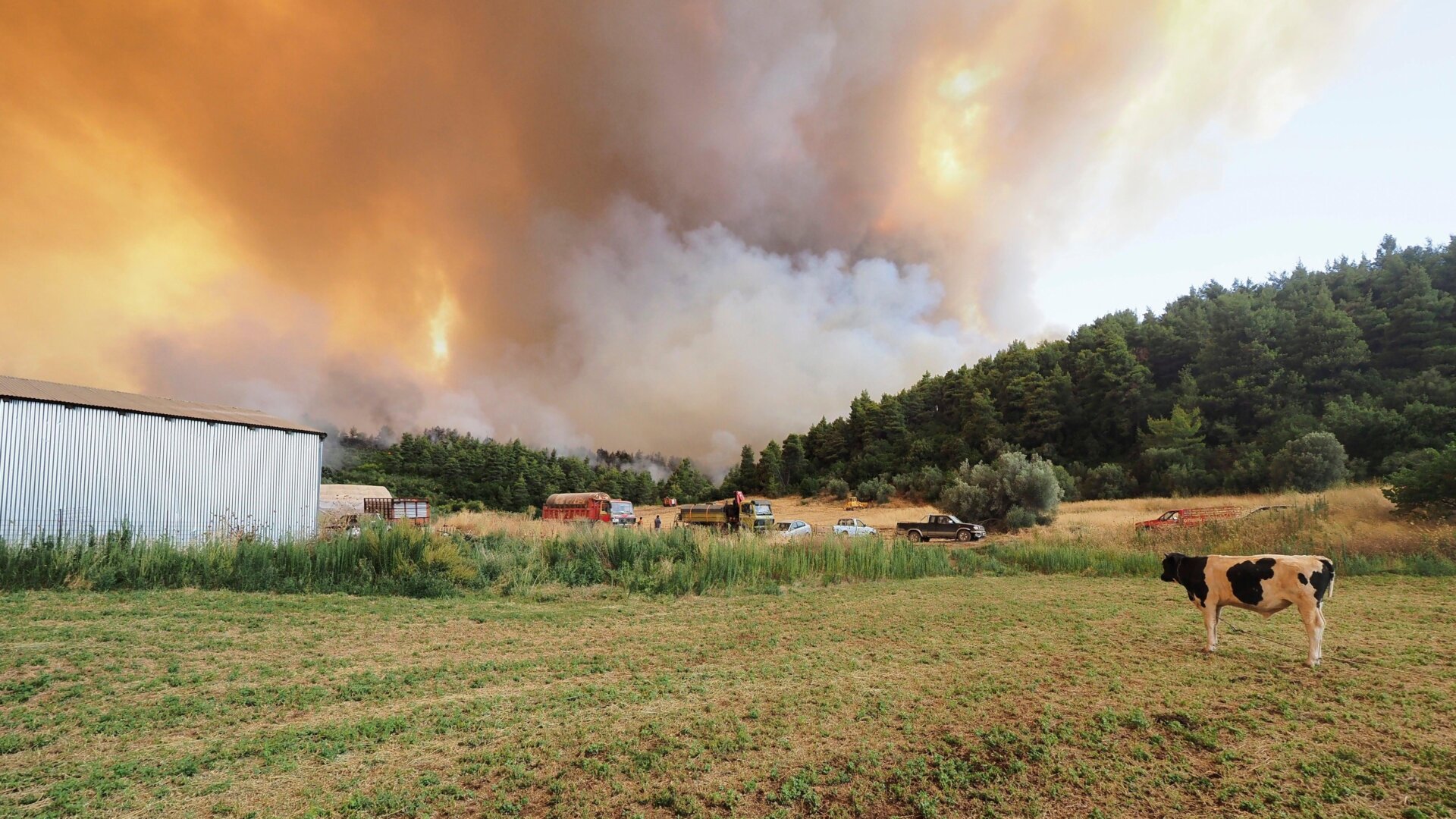 Flames burn on a mountain during a wildfire near Limni village on the island of Evia.