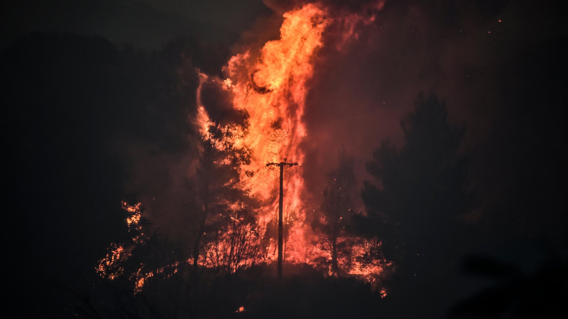 Forest burns in the area of Dekeleia near Athens, during a heatwave across the eastern Mediterranean on Aug. 3, 2021