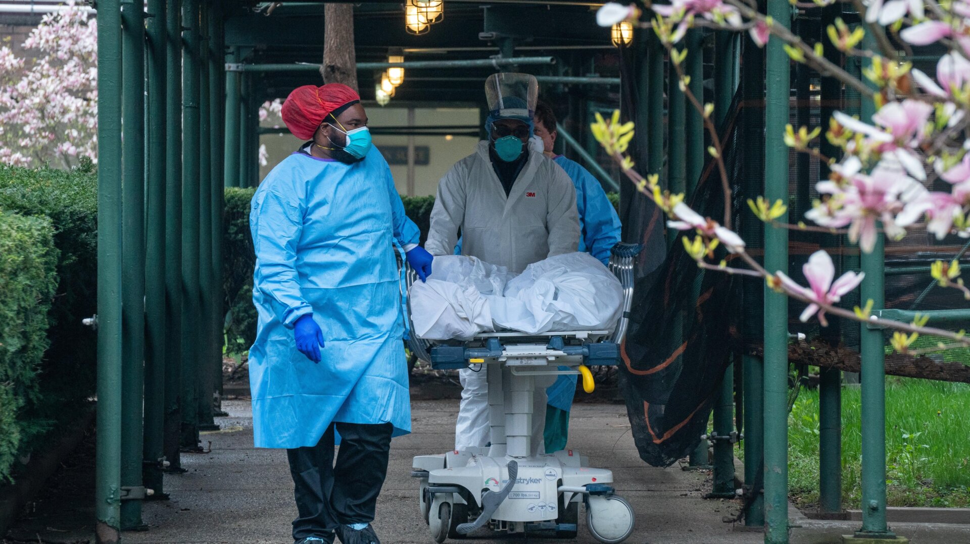 Health care workers transporting a deceased patient to a refrigerated truck on April 8, 2020, during the initial wave of the pandemic in Brooklyn, New York.