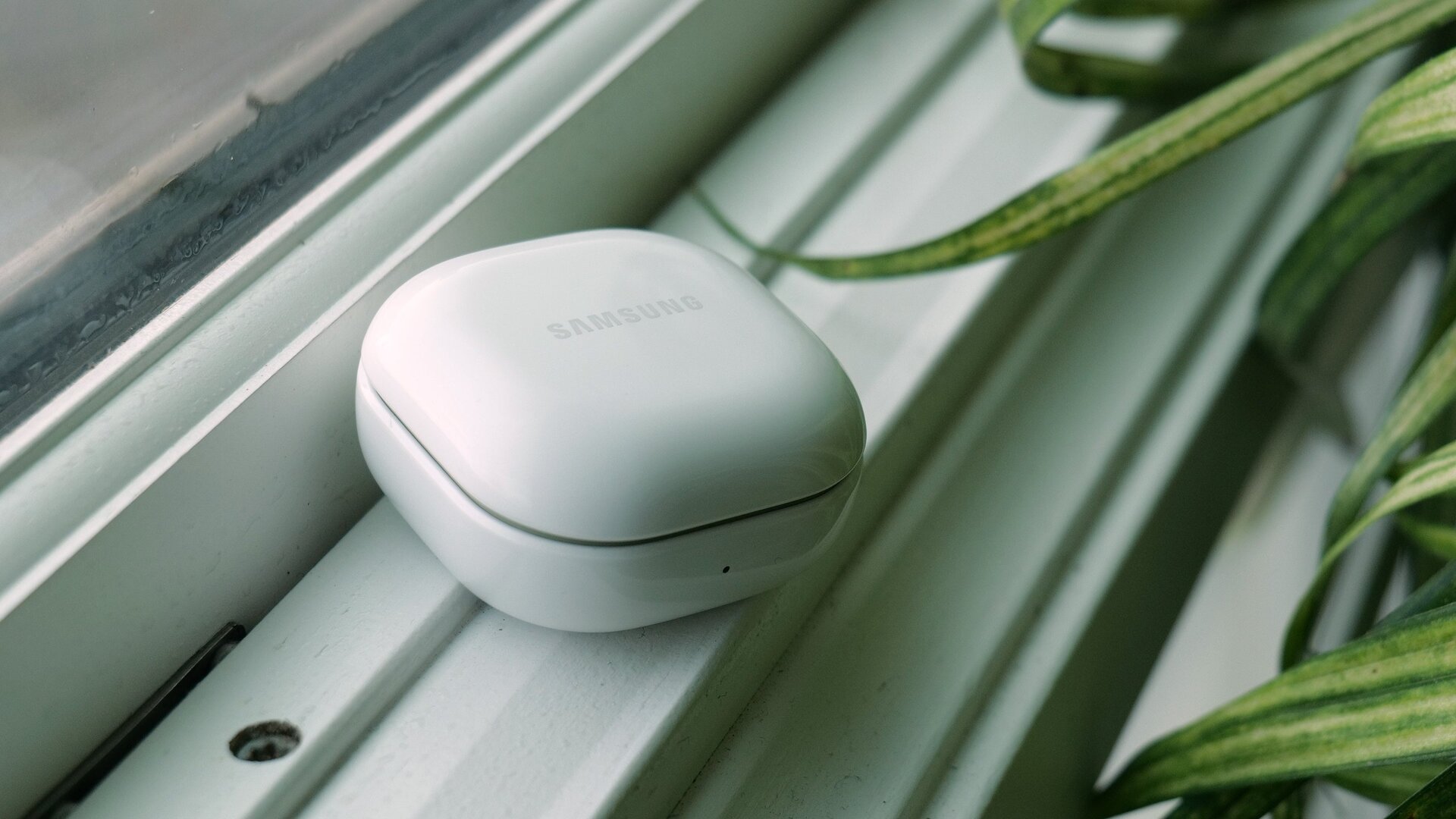 Photo: Sam Rutherford