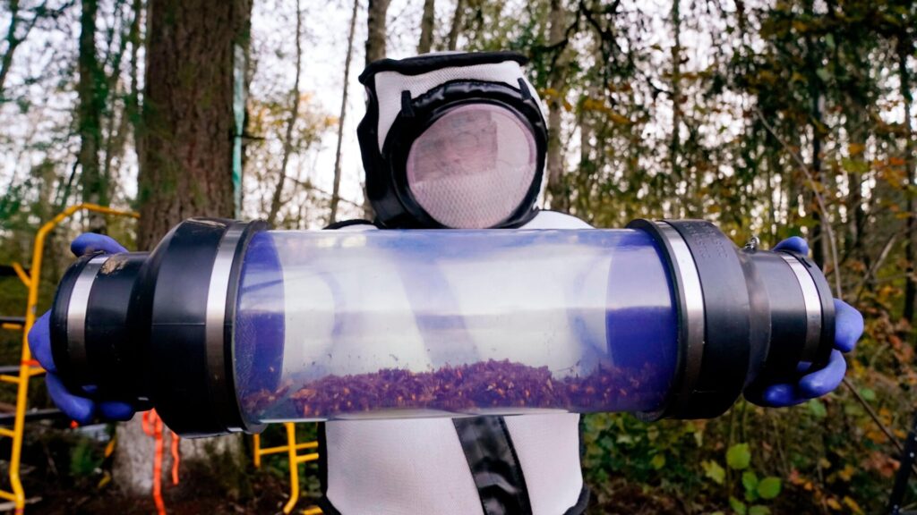 Photo: Elaine Thompson / Pool / AFP)