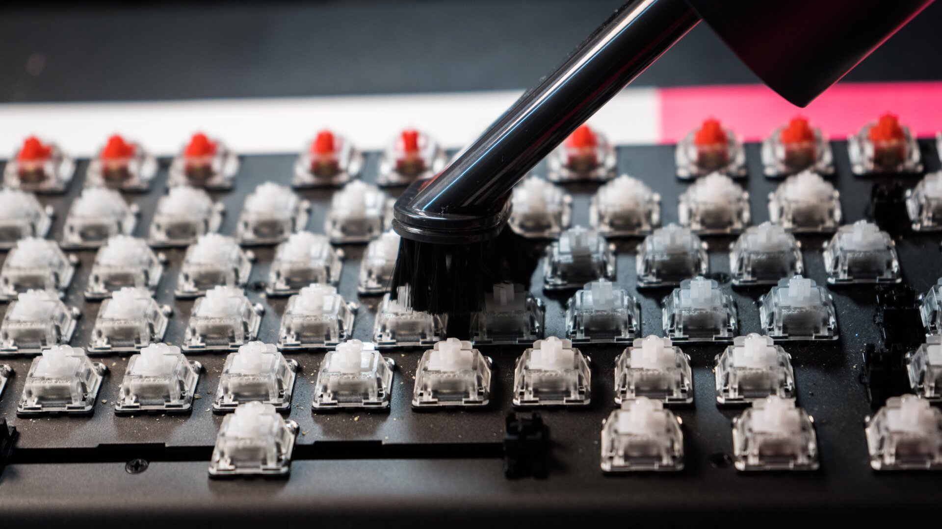 Now that the switches have all been revealed, run that vacuum one more time. 