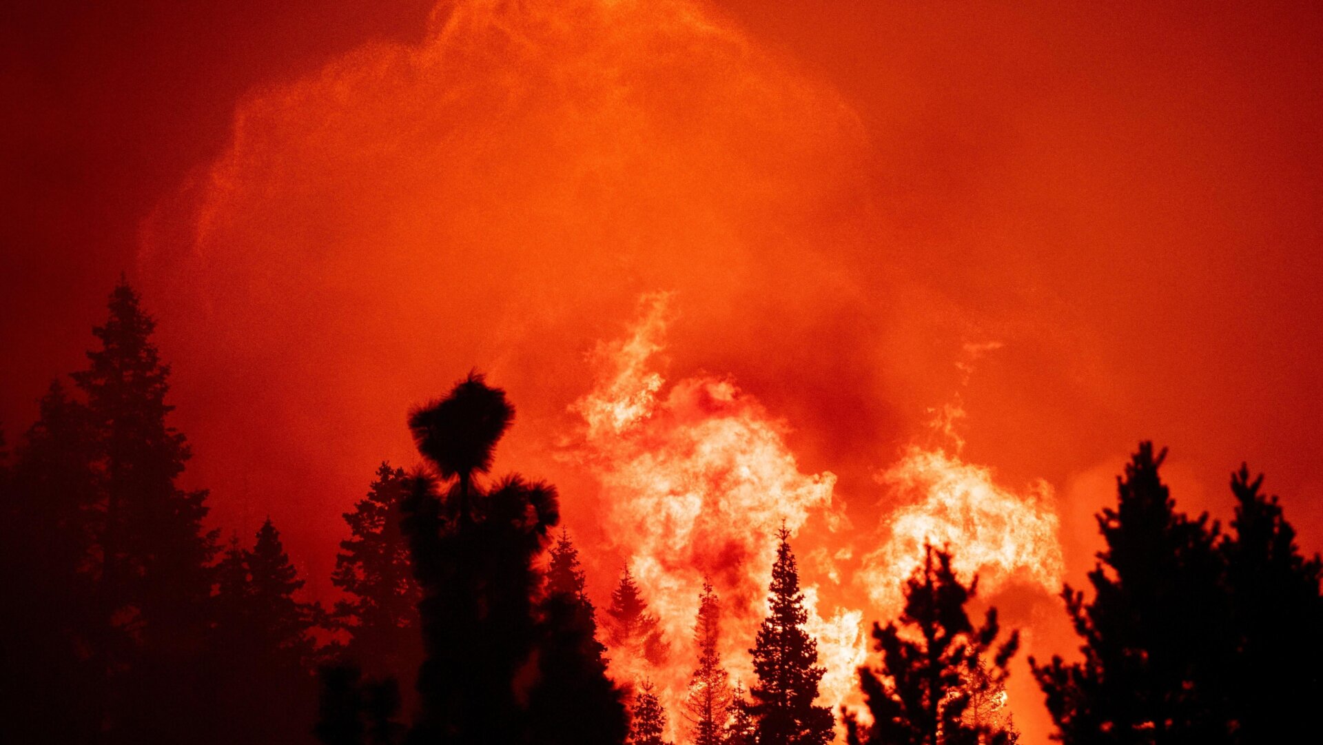 Photo: Josh Edelson/AFP