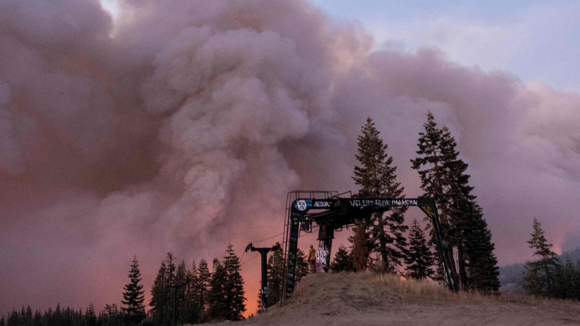 Photo: Justin Sullivan