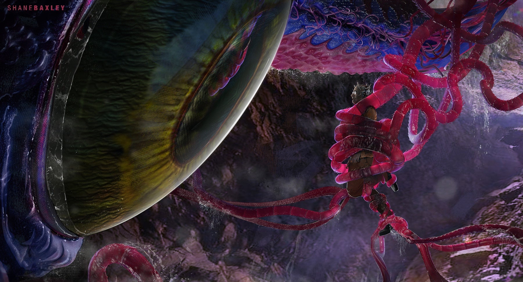 Image: Shane Baxley/Warner Bros.