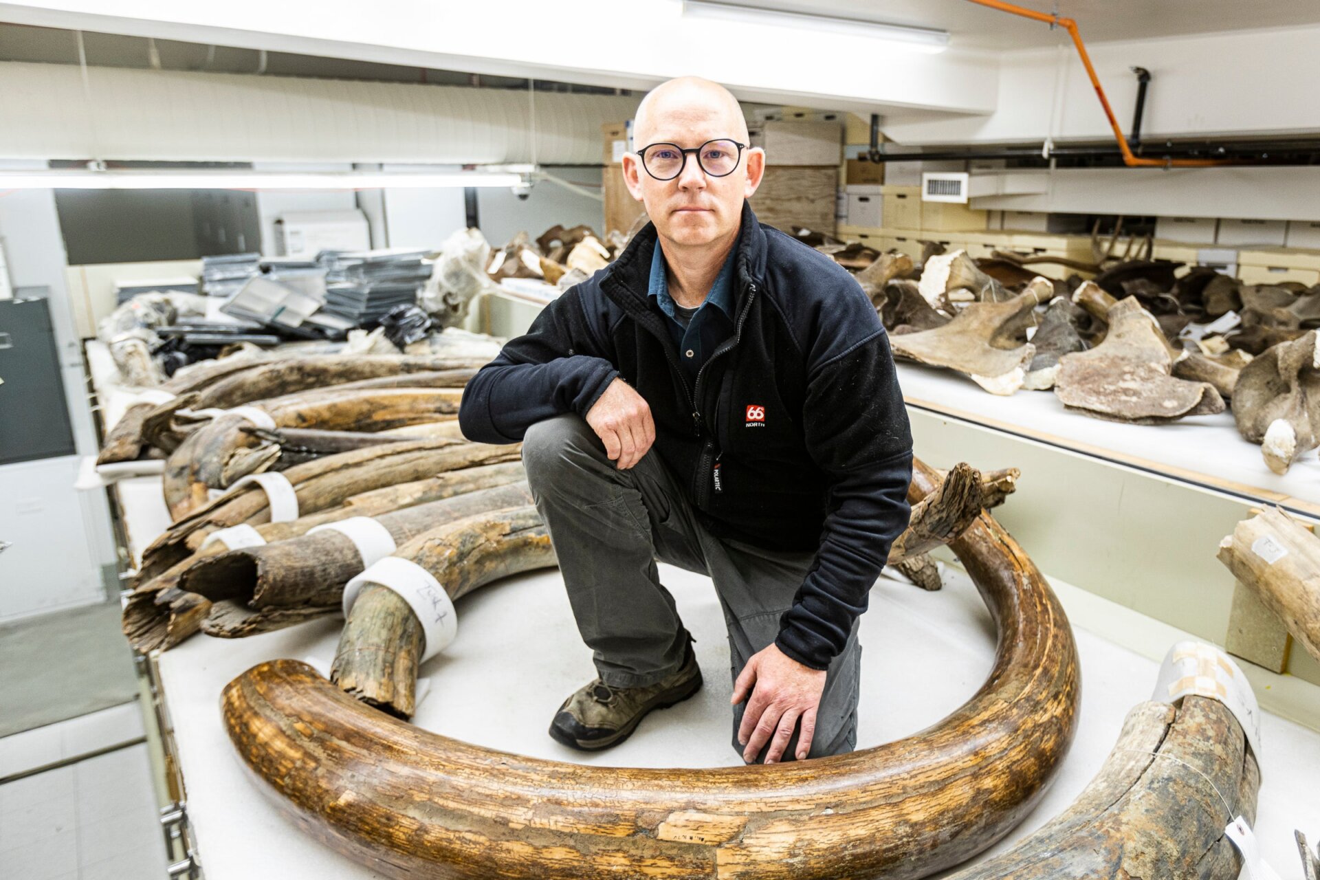 Mat Wooller sits among mammoth tusks in the UA Museum of the North.