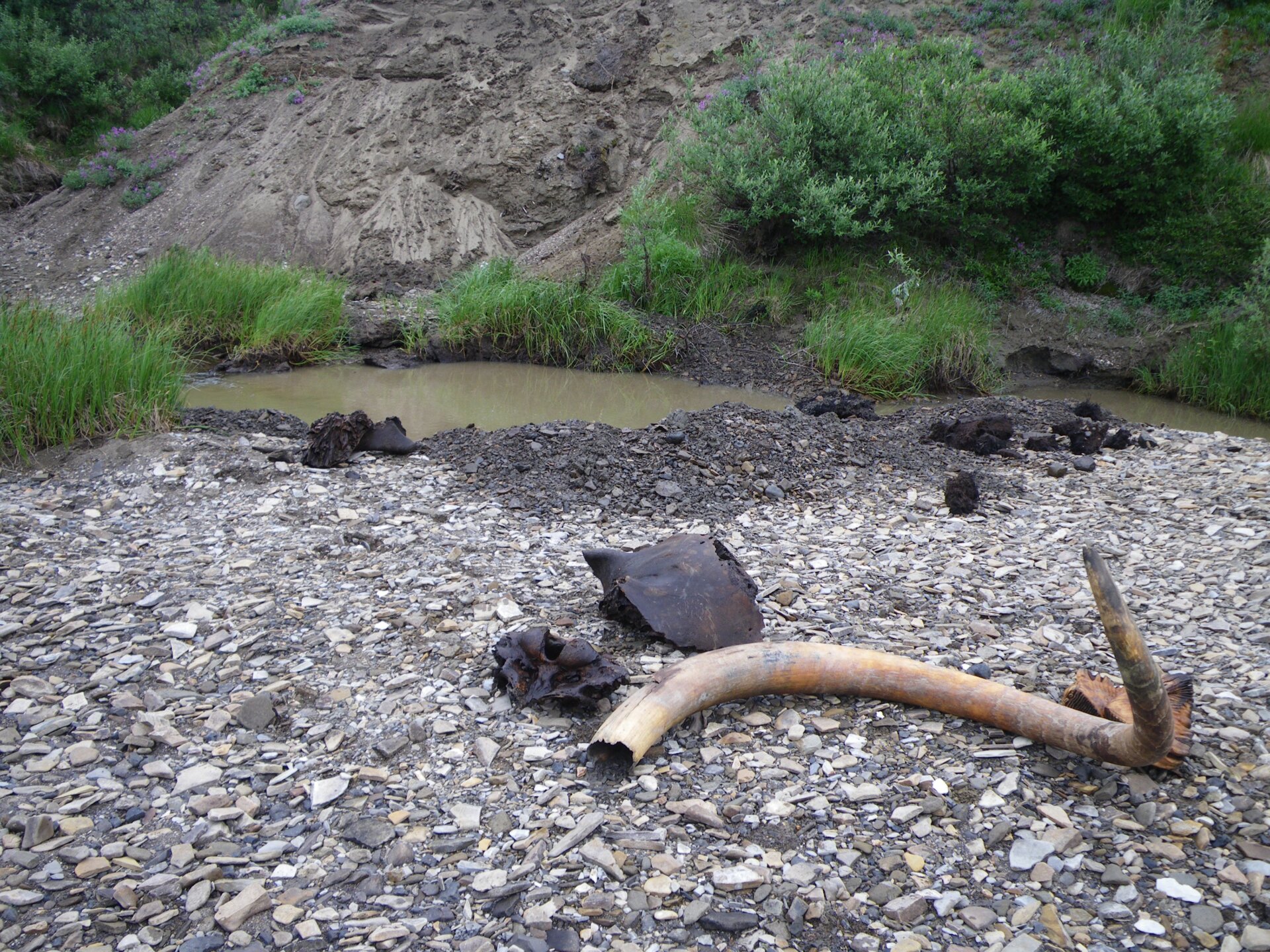 A view of the excavation of the mammoth tusk used in this research, from above the Brooks Range of mountains in northern Alaska.