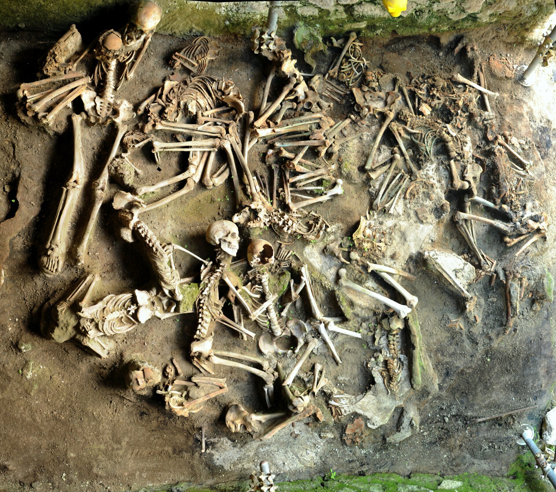 Skeletal remains at Herculaneum.