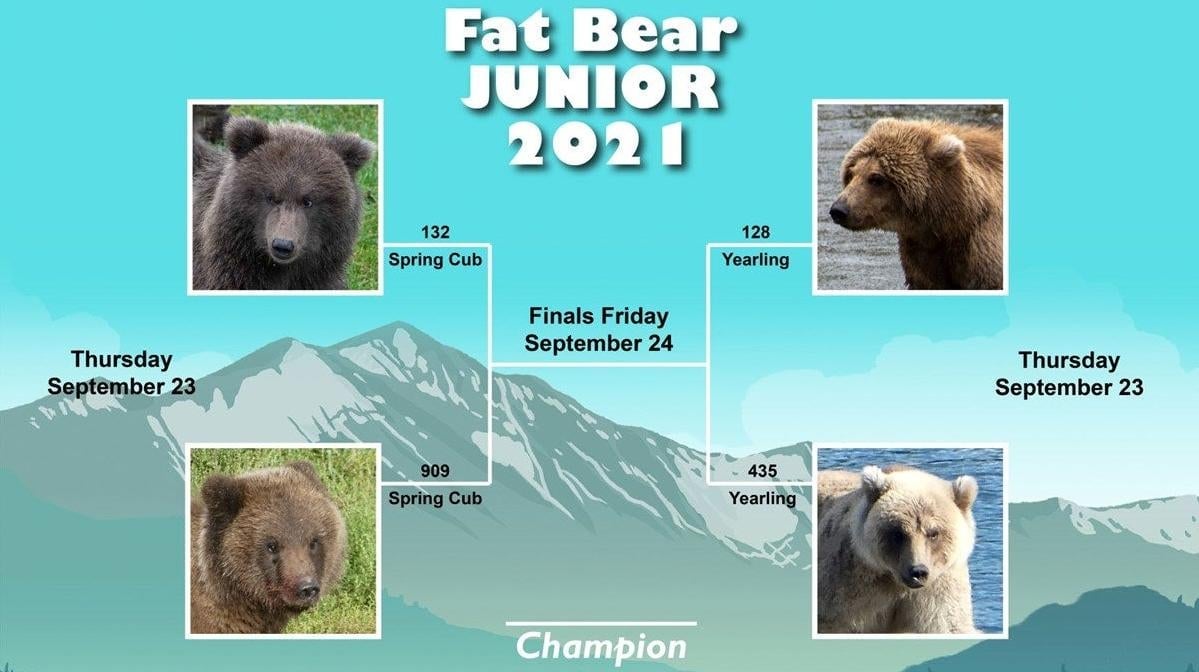 Image: Explore.org, National Park Service & Katmai Conservancy