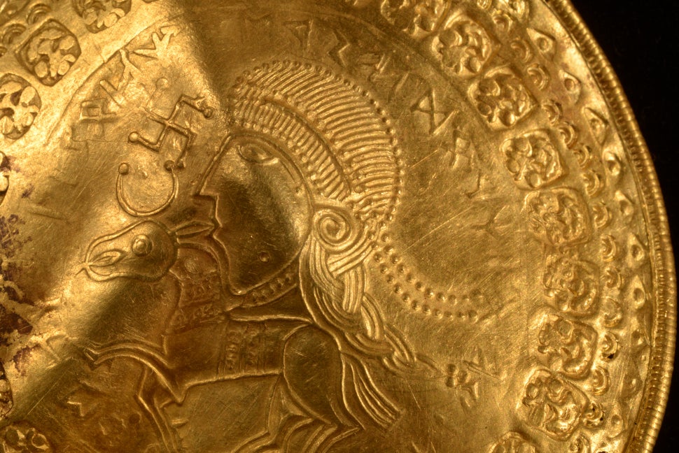 A close-up view showing a bracteate in detail. 