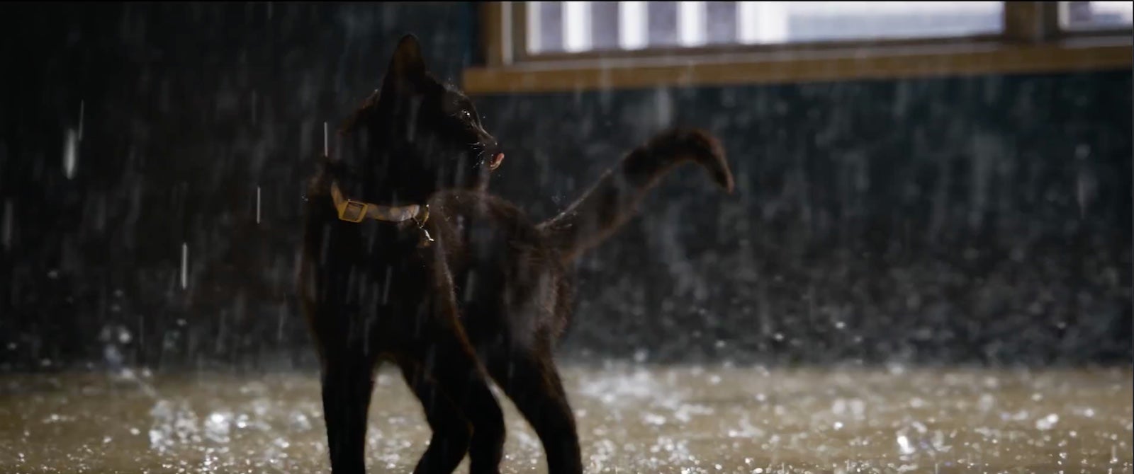 Screenshot: Warner Bros.