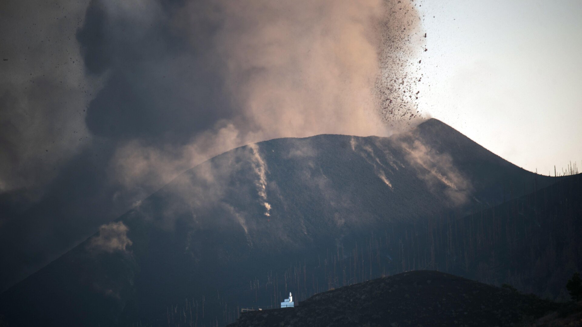 Photo: Desiree Martin/AFP