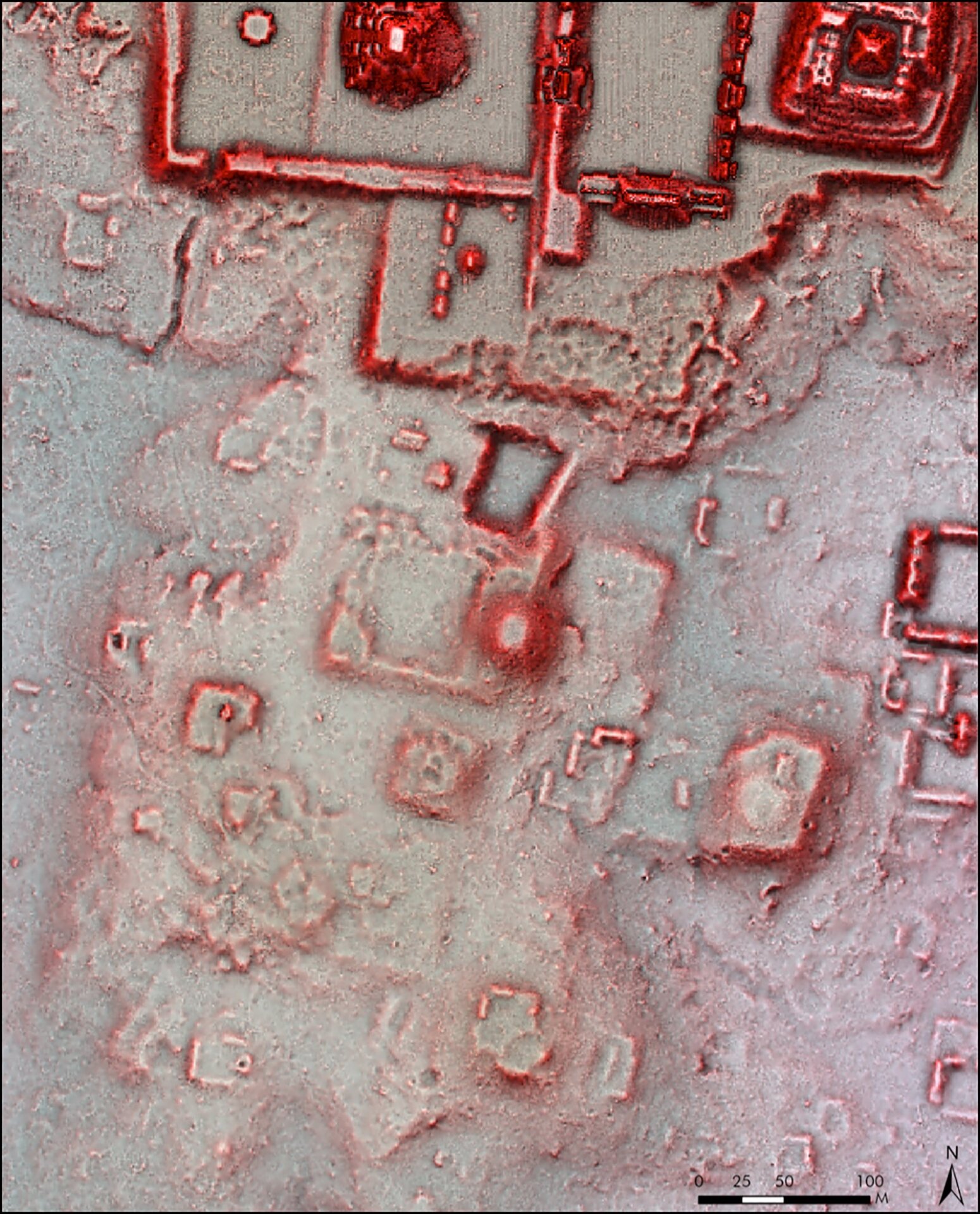 Filtered lidar image showing the structures at Tikal.