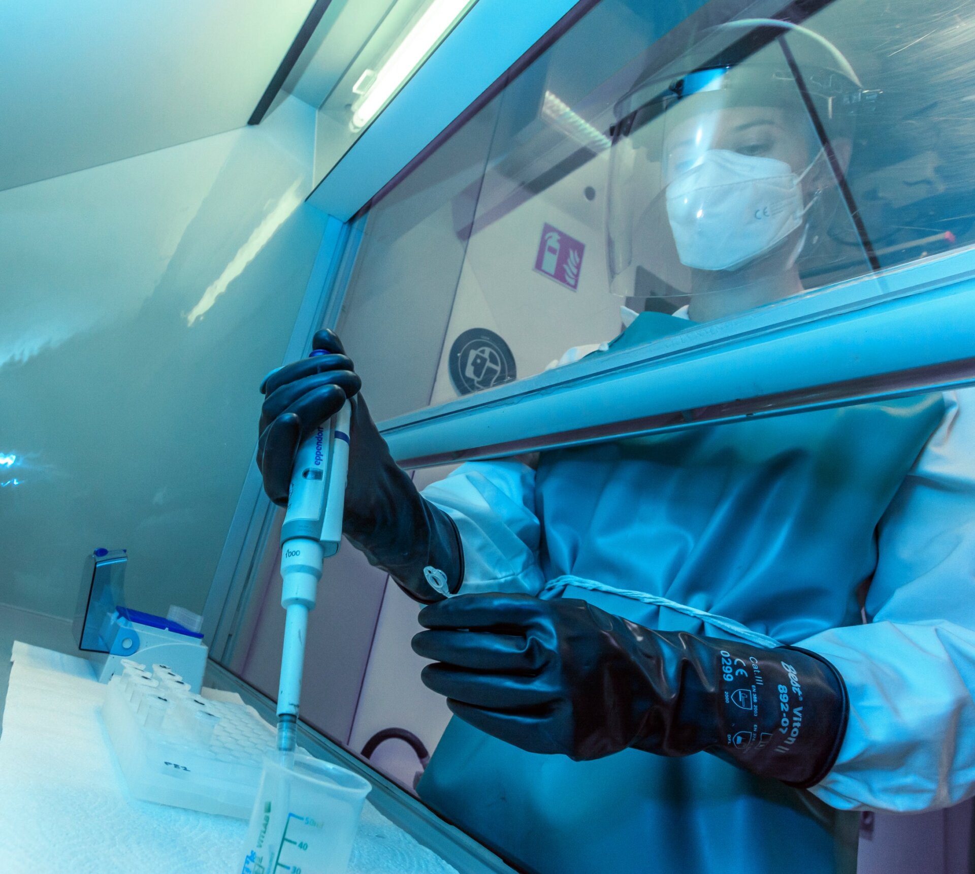 Lead author Sarah Pederzani processing tooth enamel samples. 