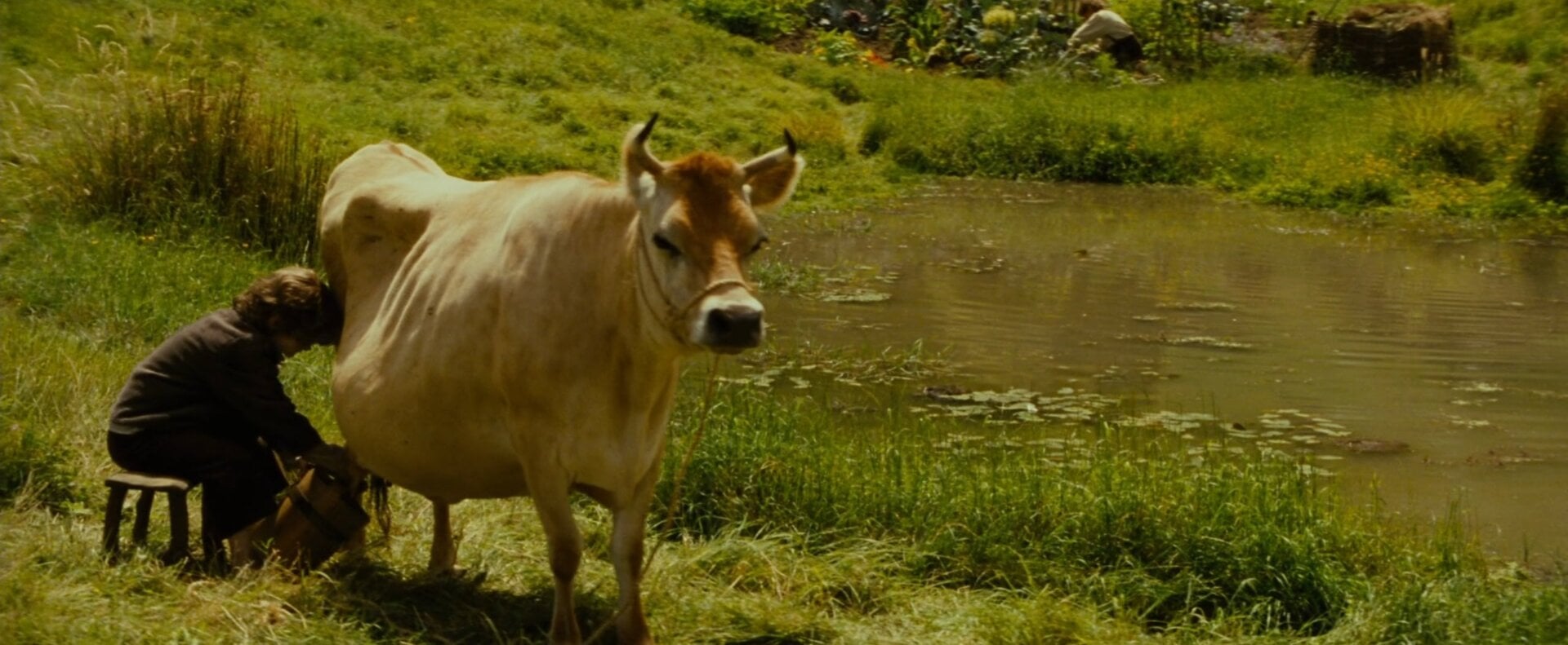 Screenshot: Warner Bros.