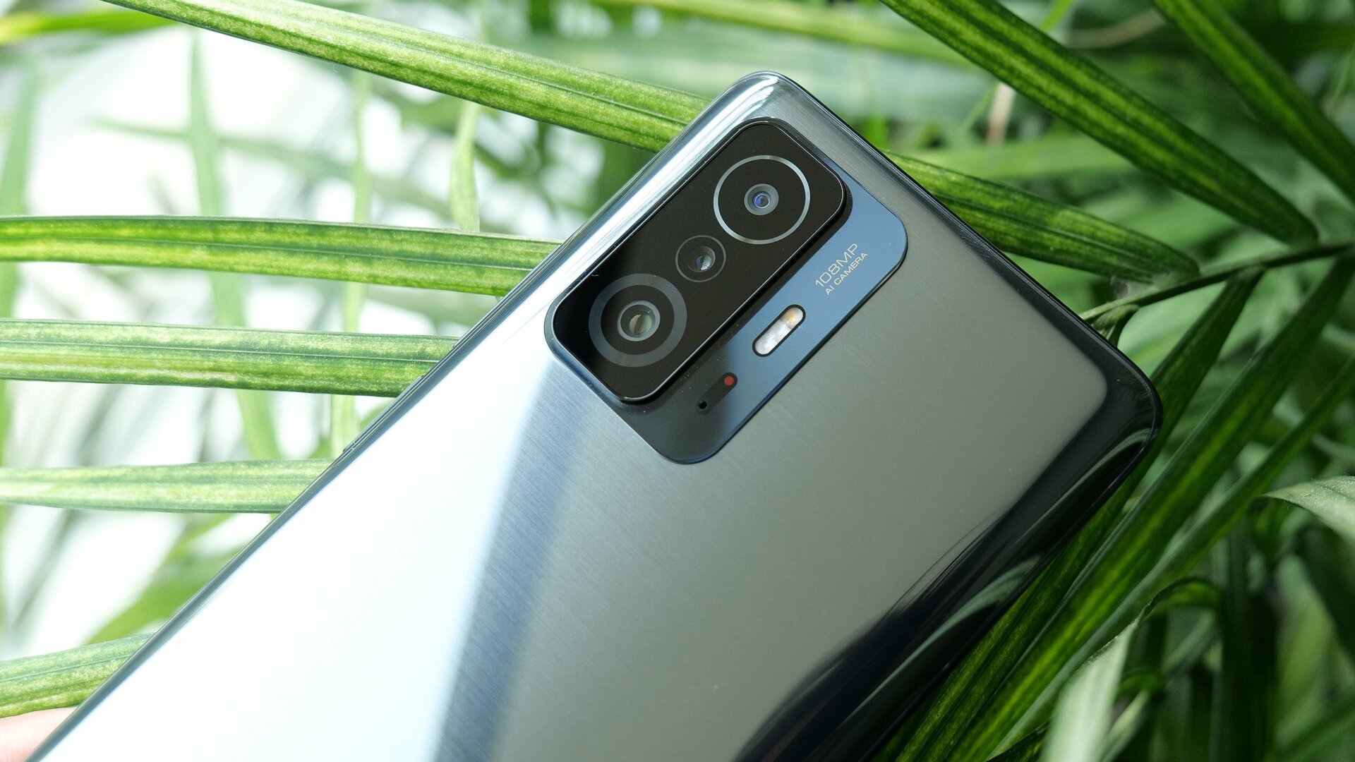 Photo: Sam Rutherford