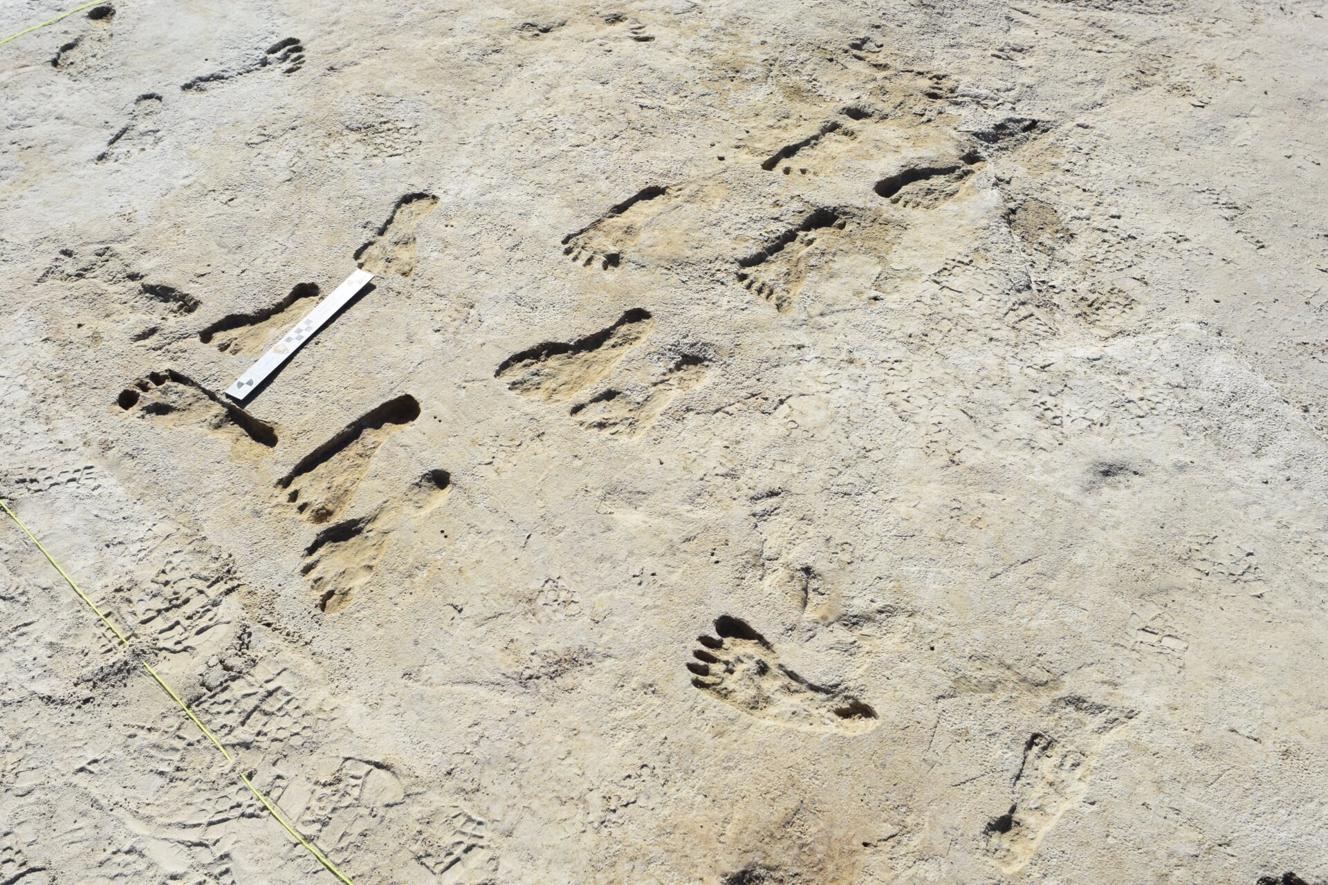 Footprints at the site