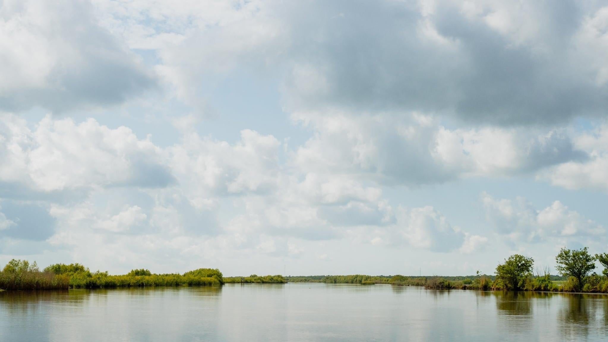 Plaquemines Parish near Point a la Hache.