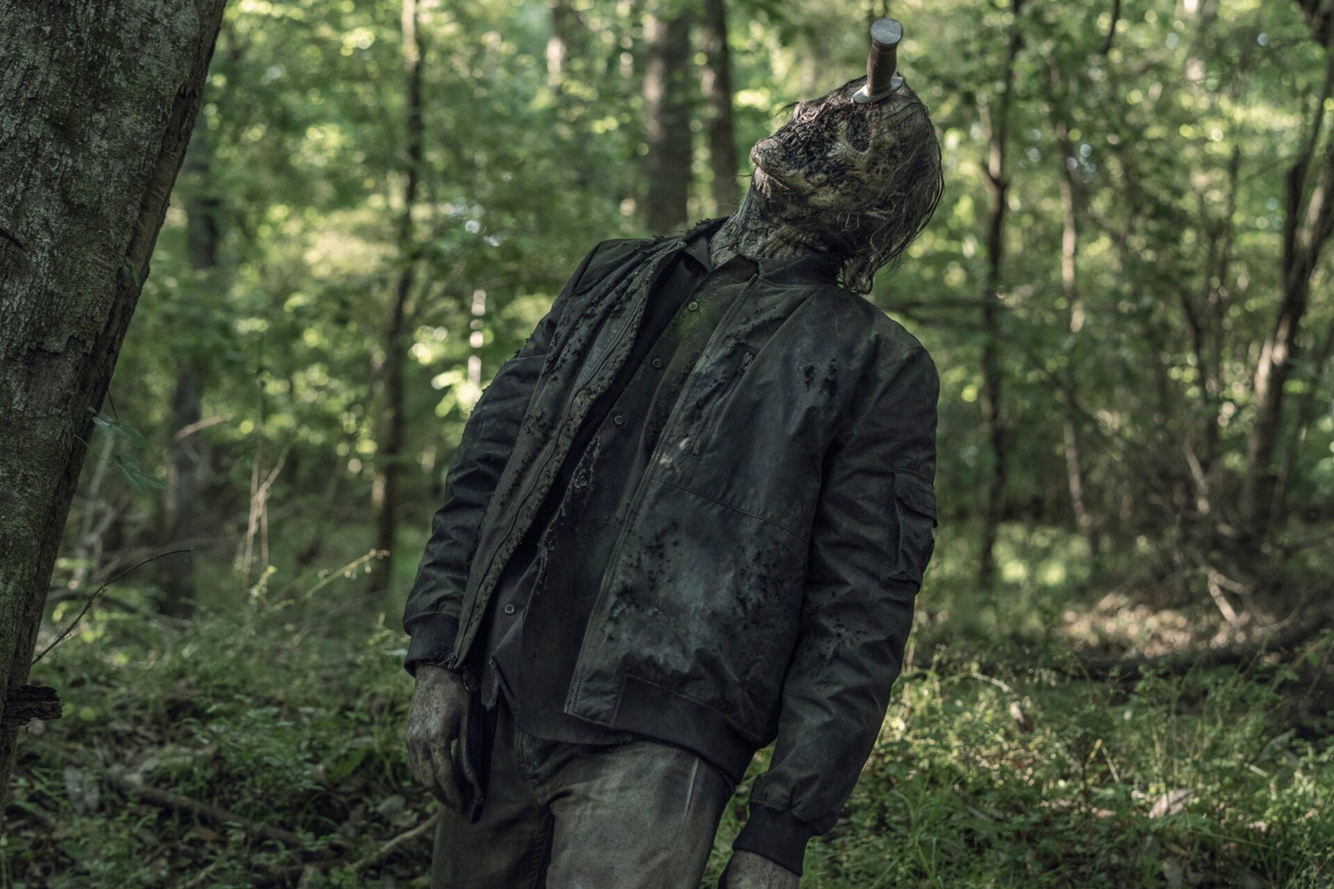 Photo: Josh Stringer/AMC