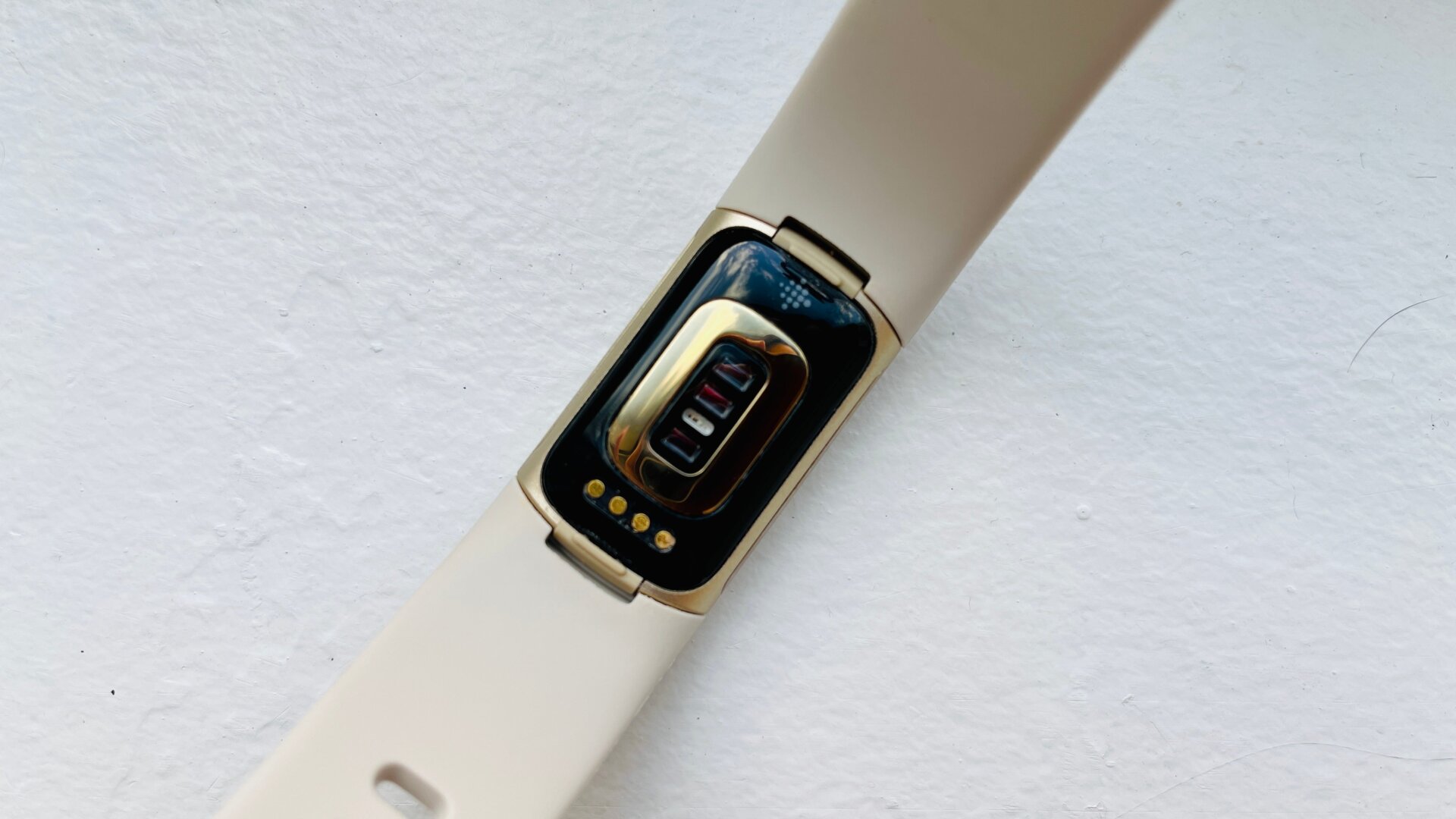 Photo: Victoria Song/Gizmodo