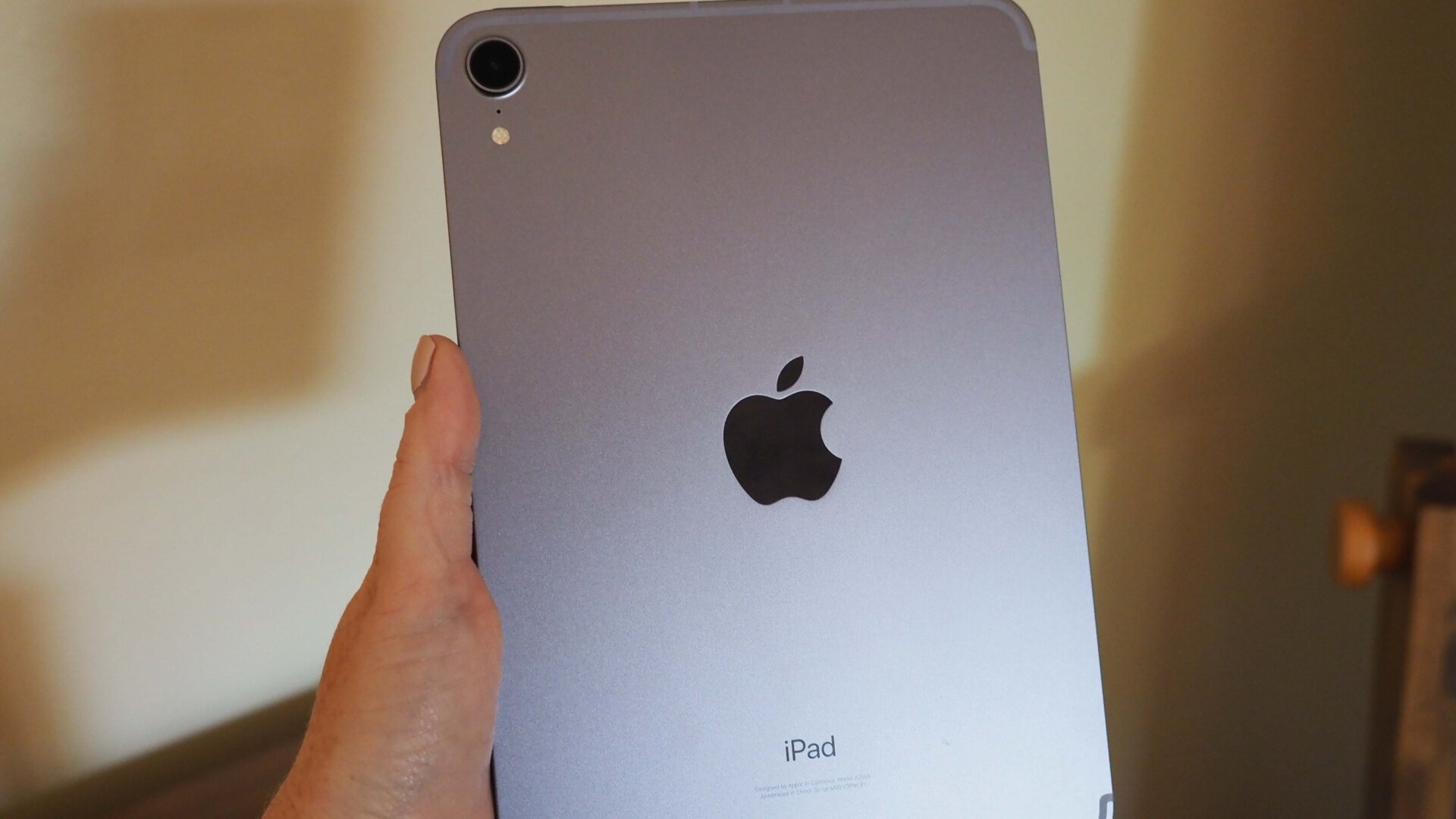 The Mini comes in pink, a silvery gold called Starlight, Space Gray, and purple (which is much less purple than the purple iPhone).