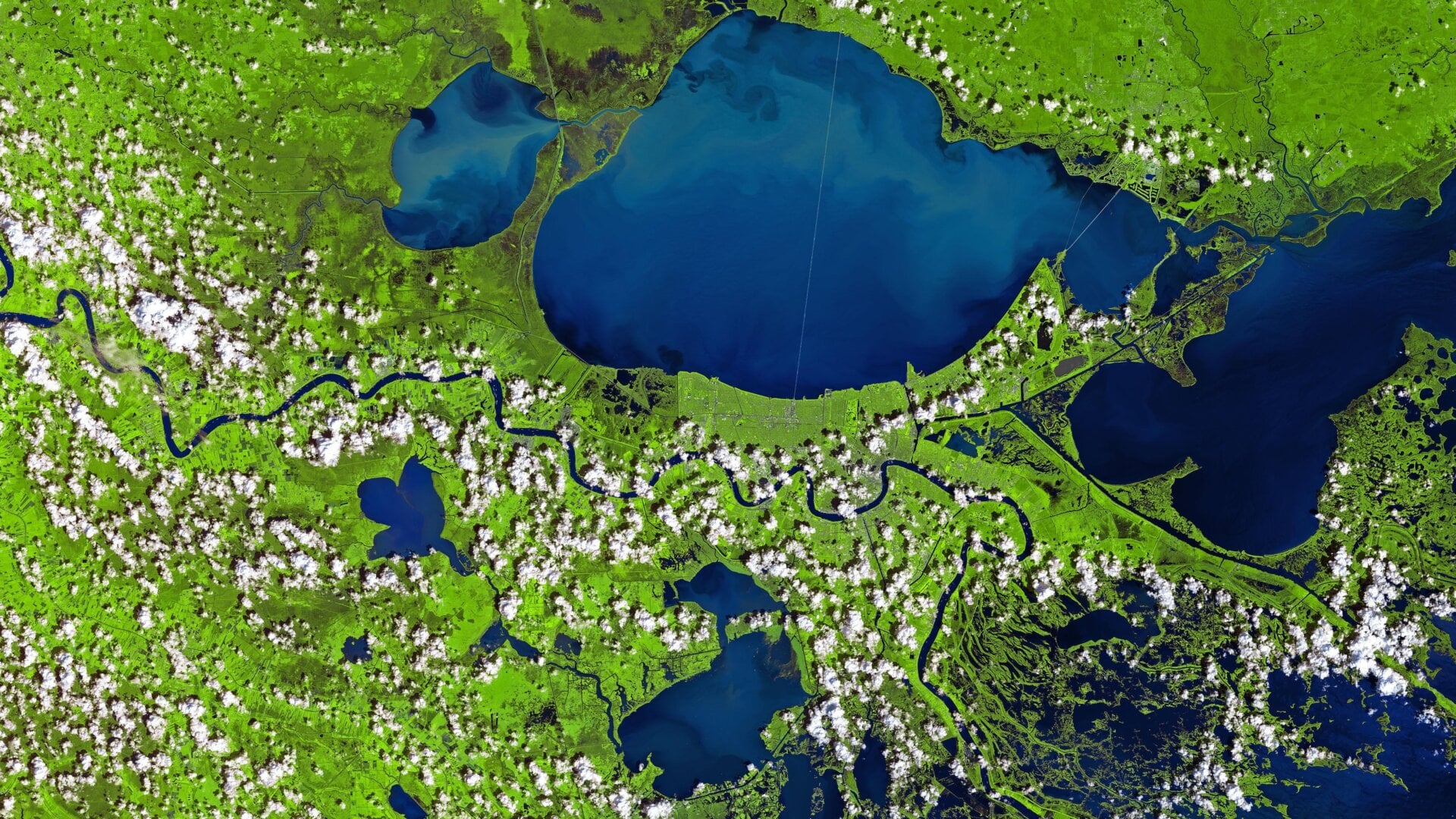 A section of the Mississippi Delta on September 3, just five days after Hurricane Ida.