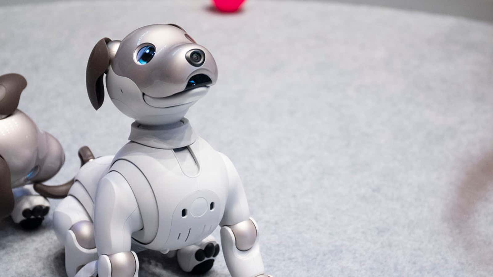 Photo: Alex Cranz/Gizmodo