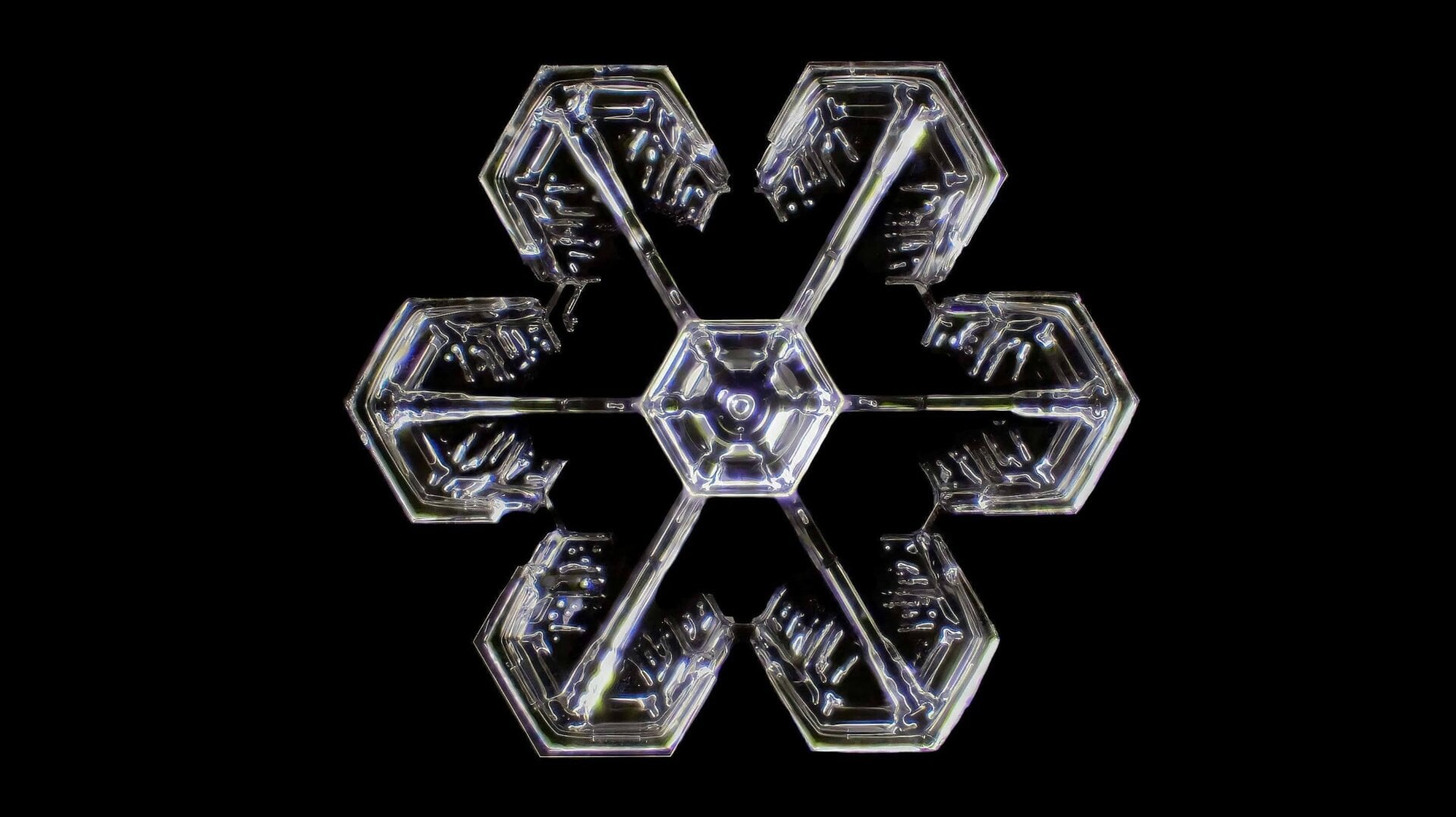 A snowflake at 4-times magnification.