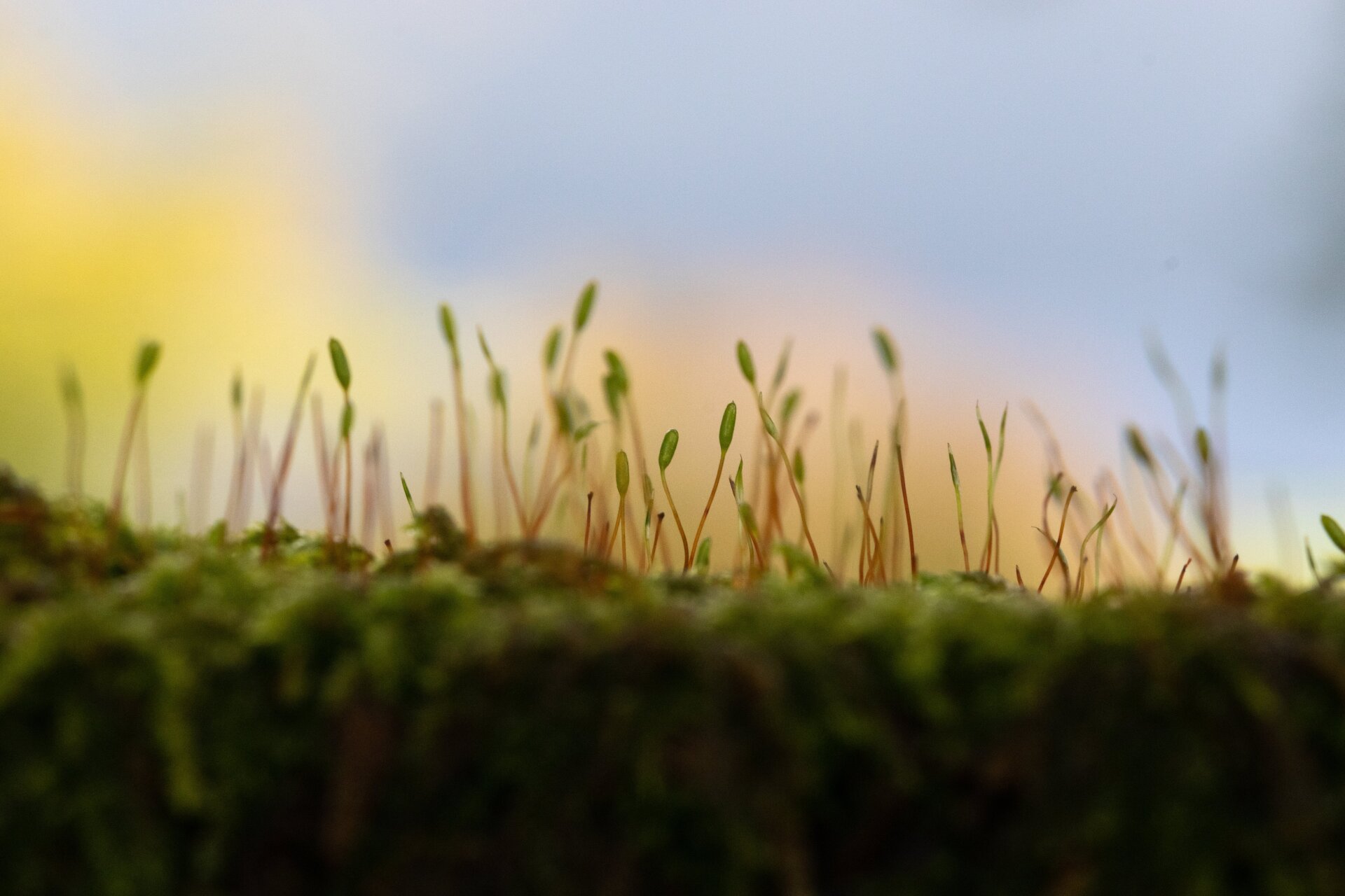 Photo: Alicia Hayden/British Ecological Society