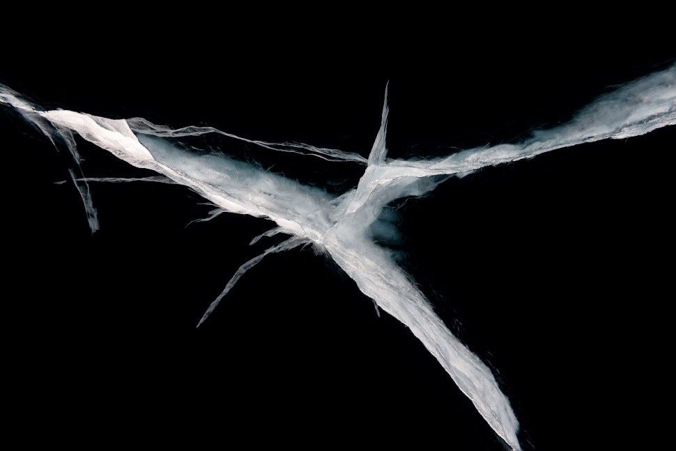 Image: Daragh Muldowney/CUPOTY