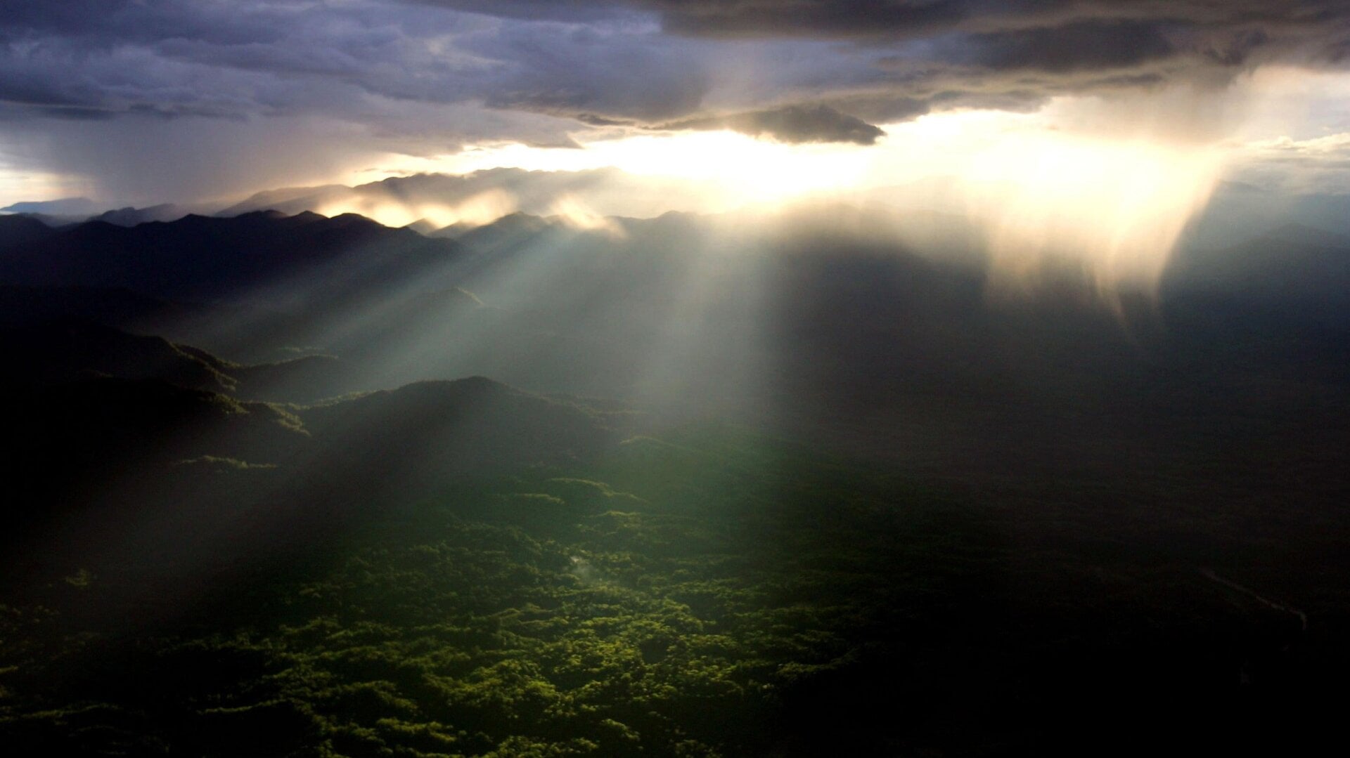 Aerial view of the rainforests of Northern Sumatra, Indonesia.