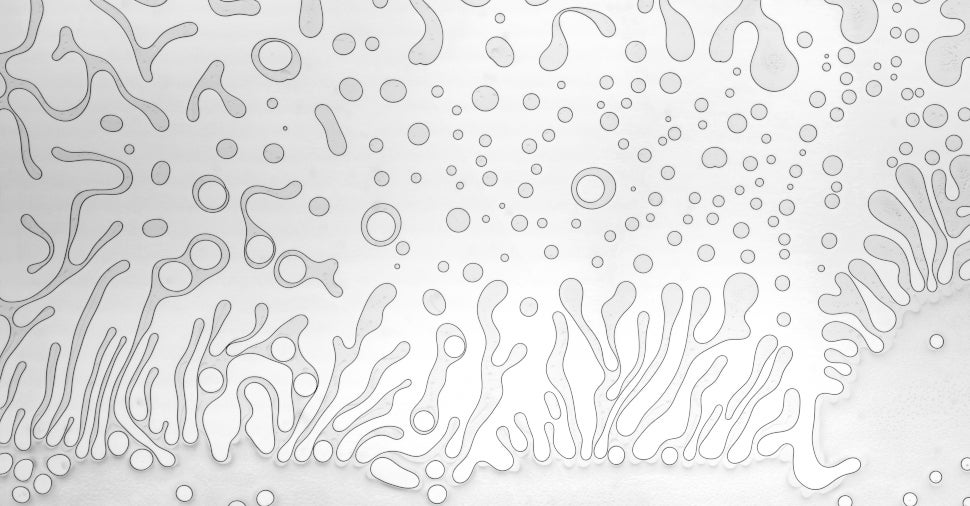 Image: Marek Mis/CUPOTY